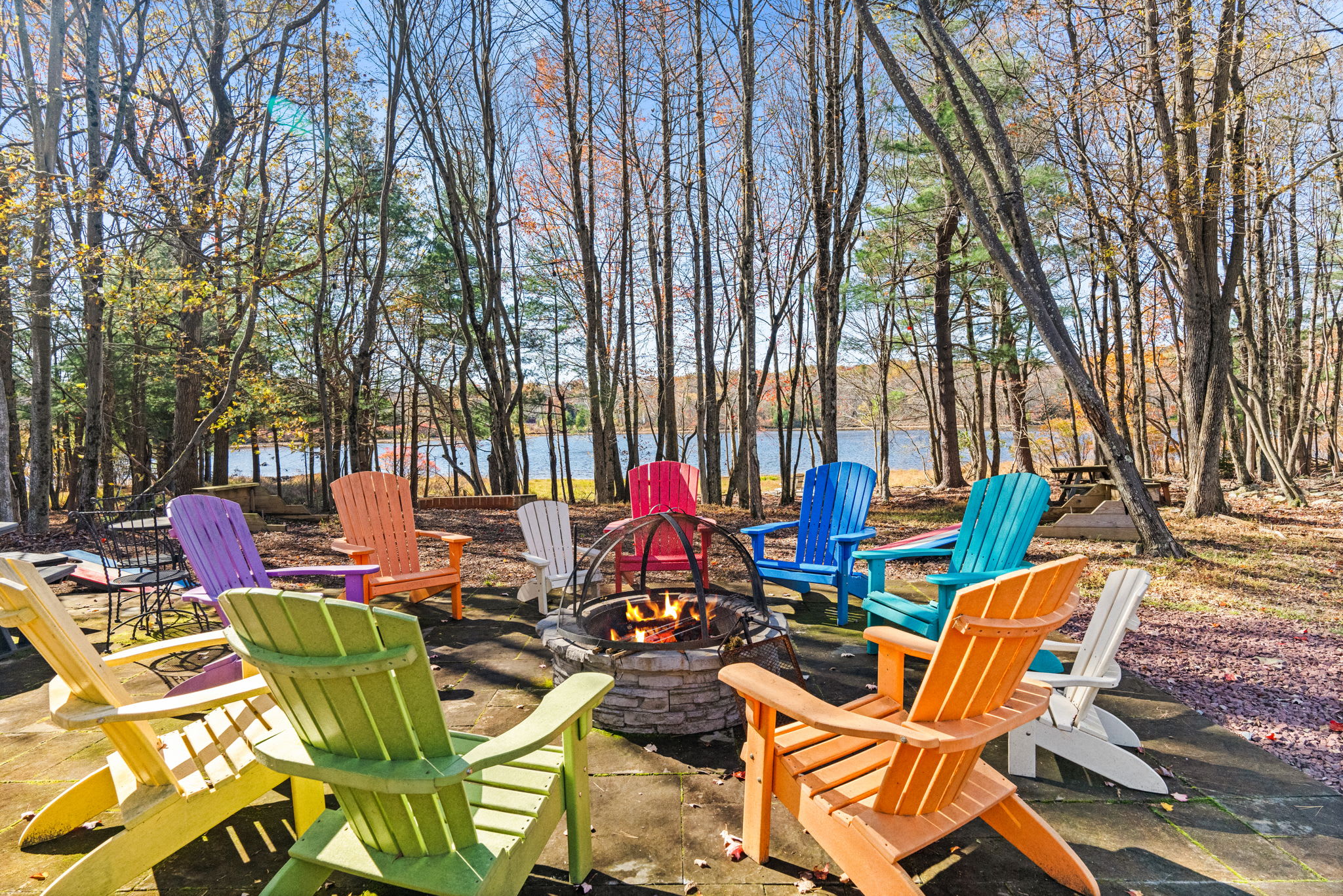 Vibrant rainbow Adirondack chairs nestled among mature trees - scenic outdoor seating throughout the property
