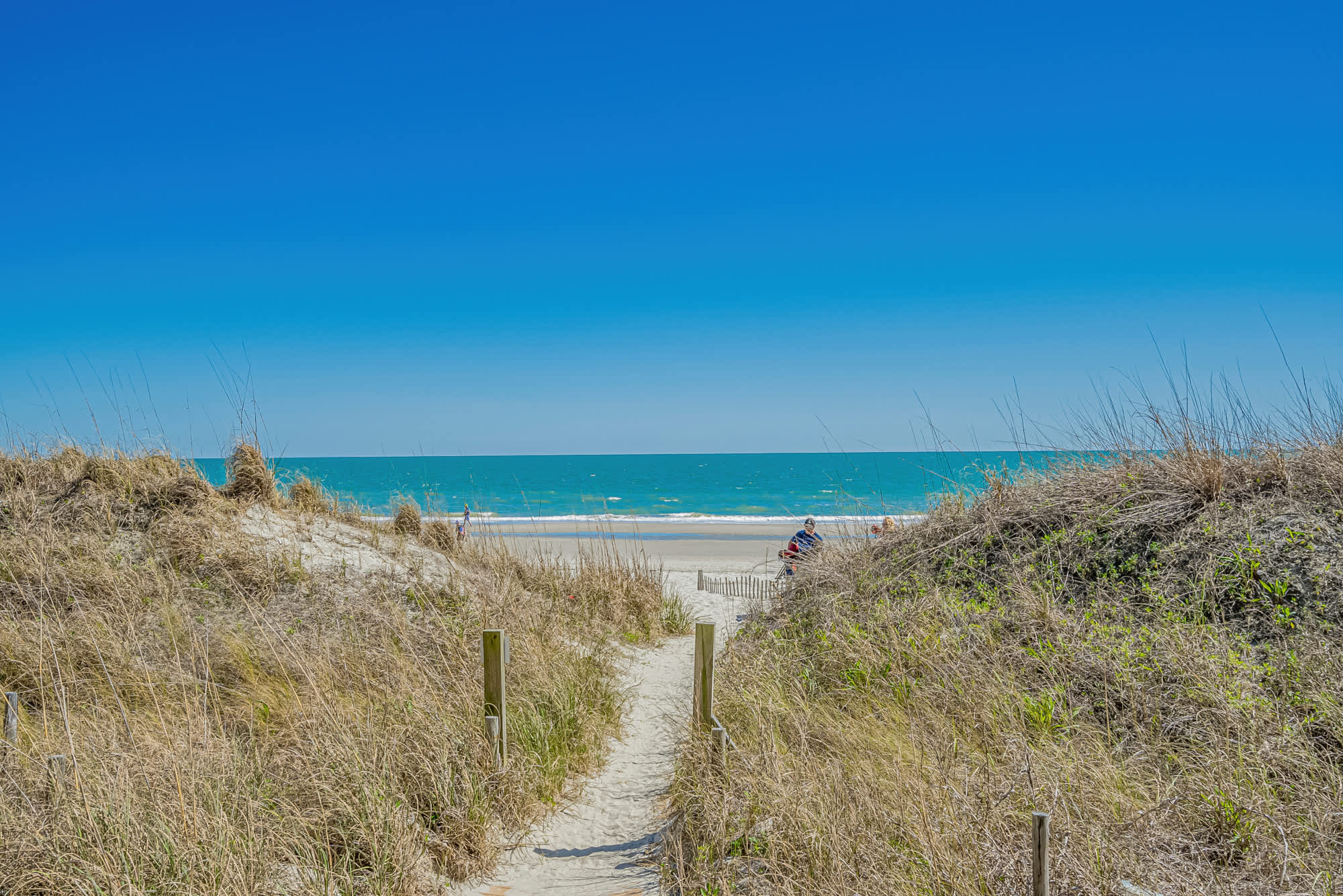 Sea Winds 209 Oceanfront | Photo 7