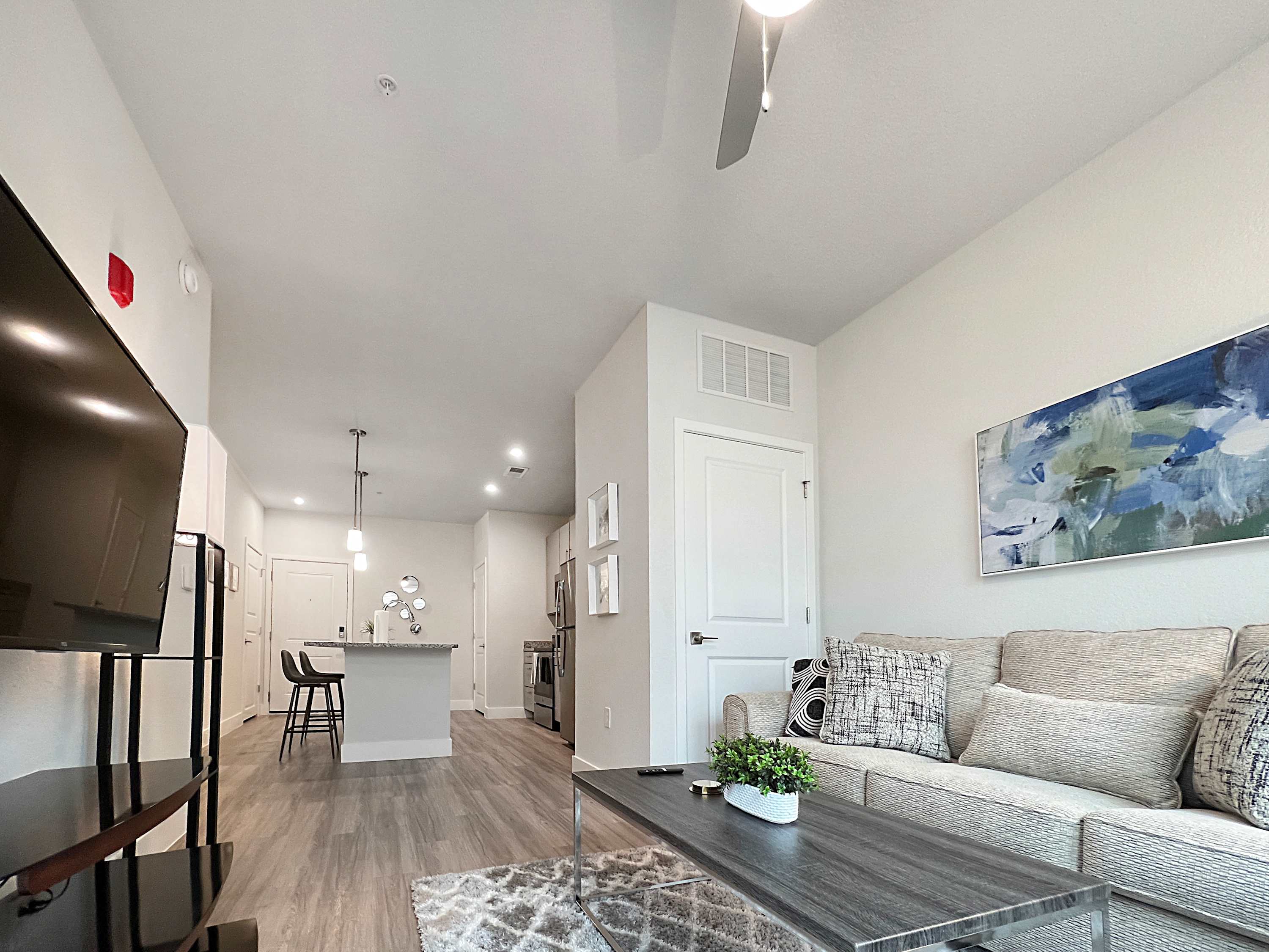 Luxury 1 BR Near Moffitt and USF and Busch Gardens