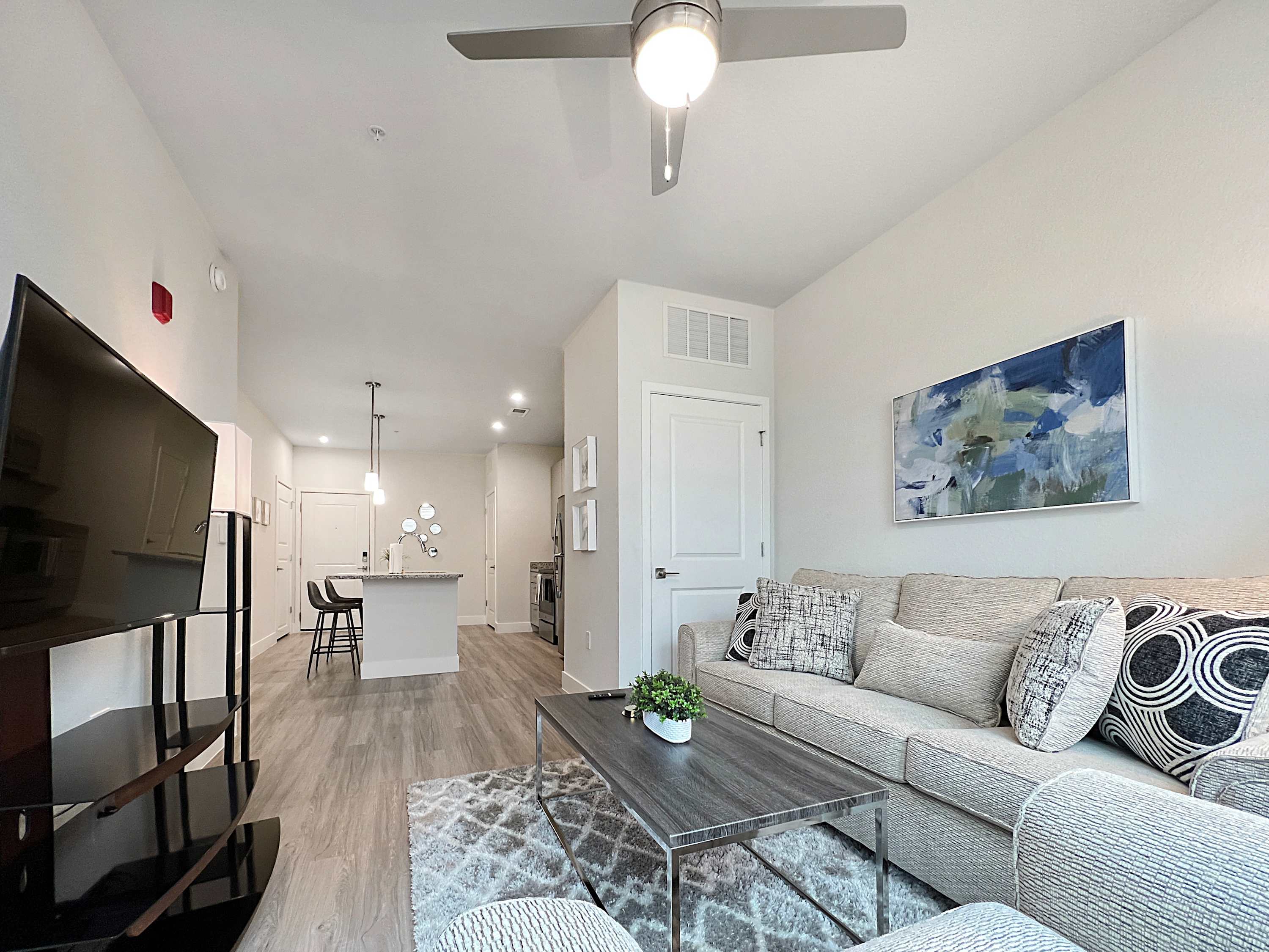 Luxury 1 BR Near Moffitt and USF and Busch Gardens