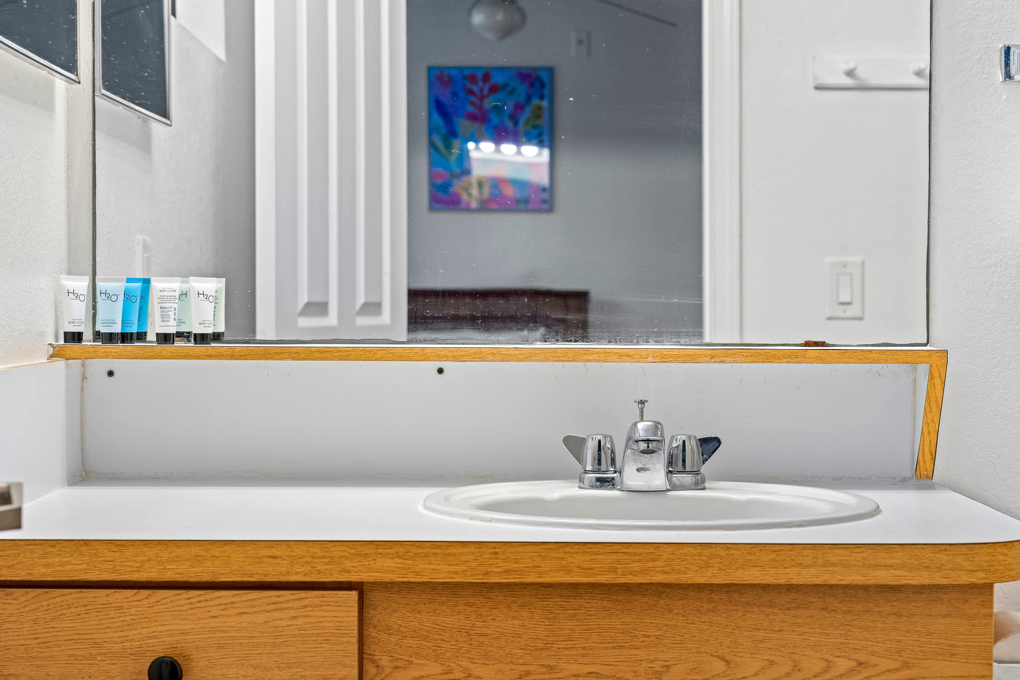 Spacious condo near USF w/ pool & patio