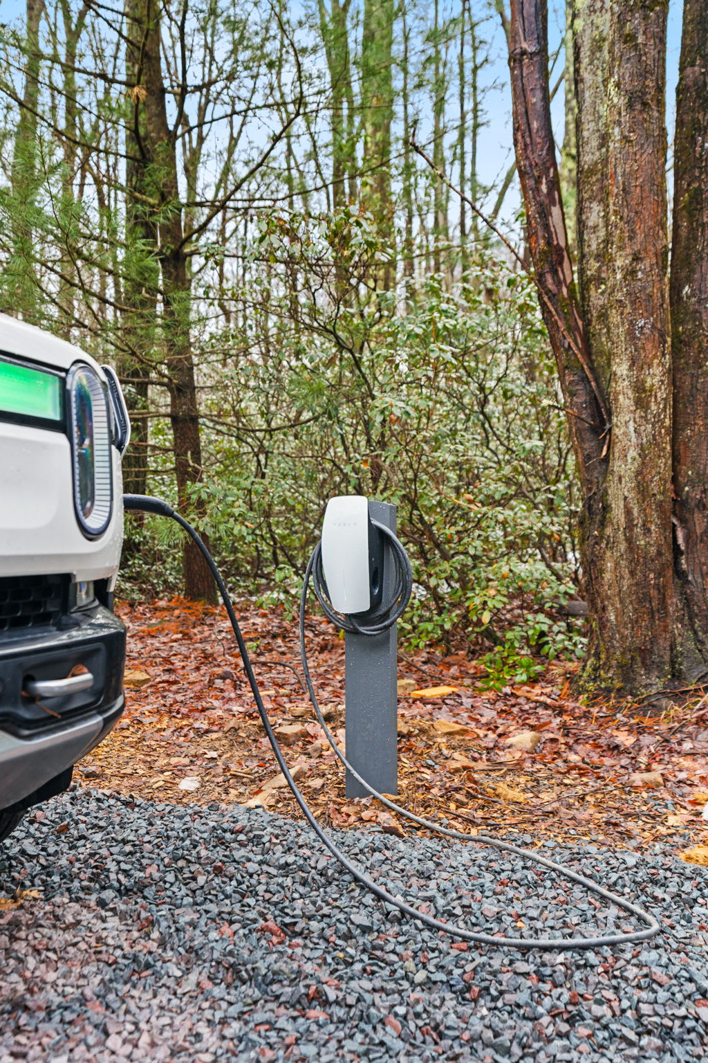 Charge up your electric vehicle while enjoying the peaceful forest setting