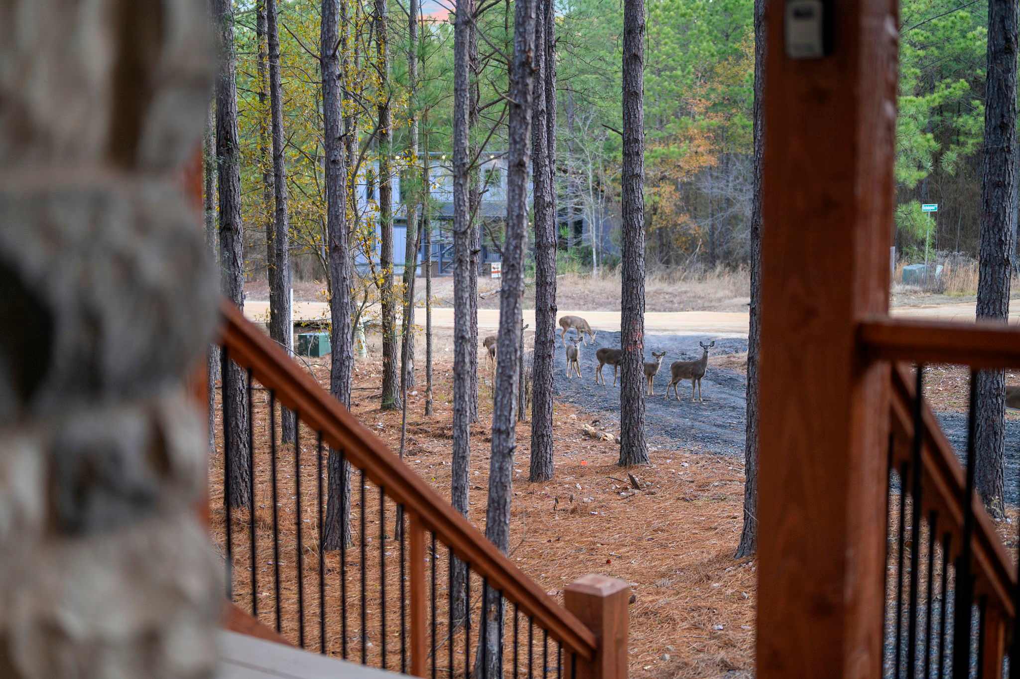 New Luxury! Starlight Pines Hot Tub-Arcade-Firepit