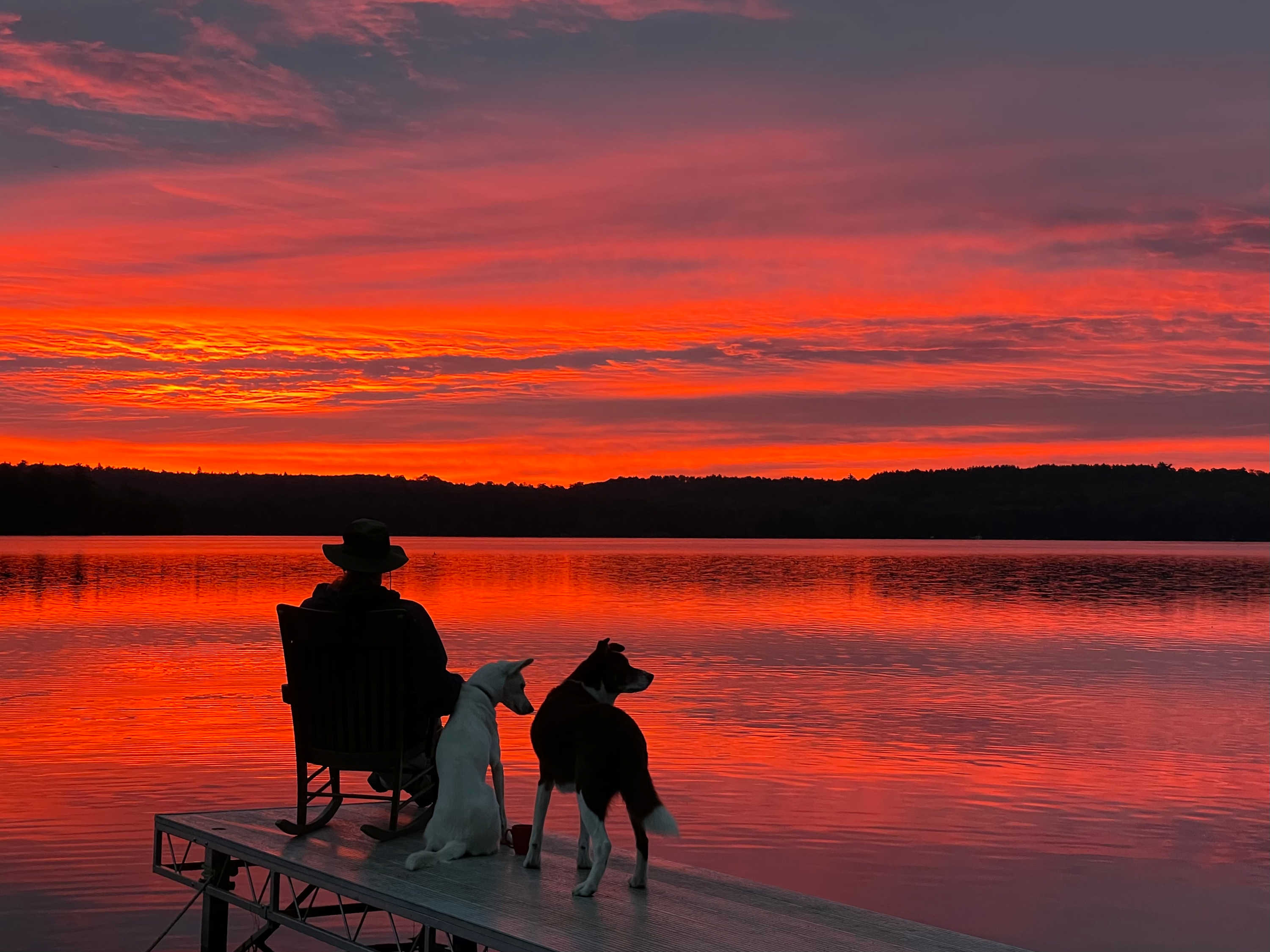 Early risers get rewarded. Dogs may insist.
