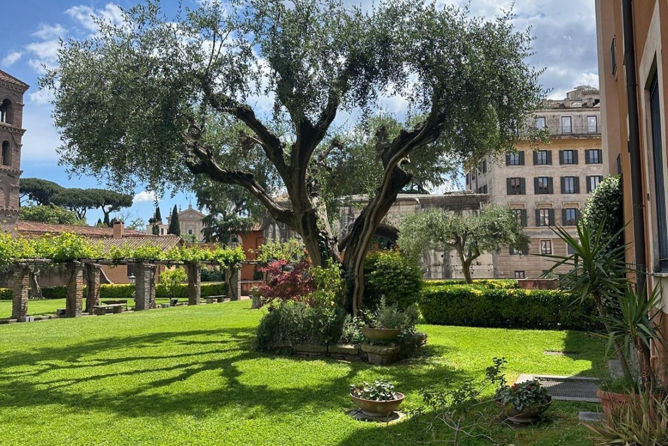 TR - Forum Terrace - Image 4