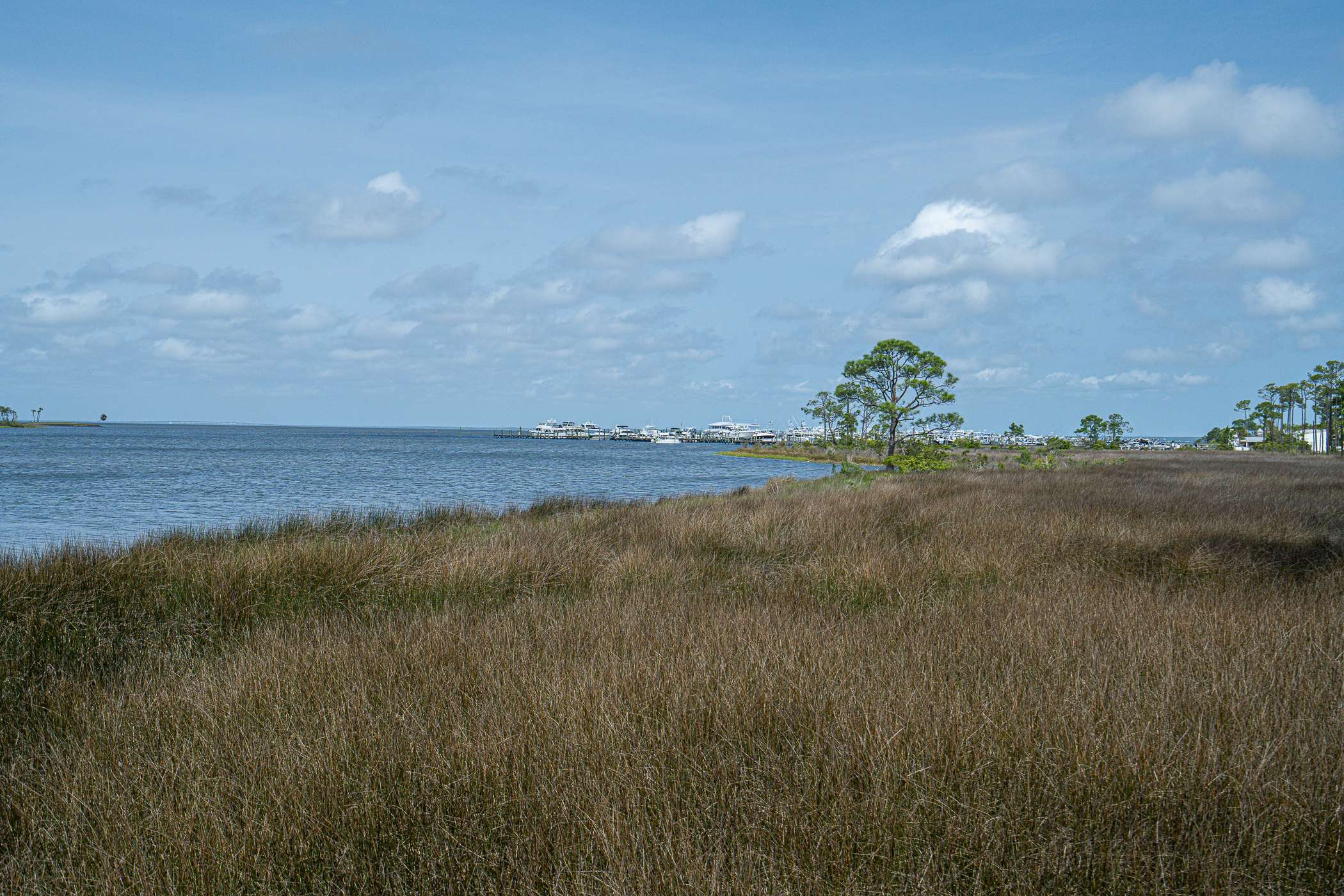 View from Jolee Island Nature Park
