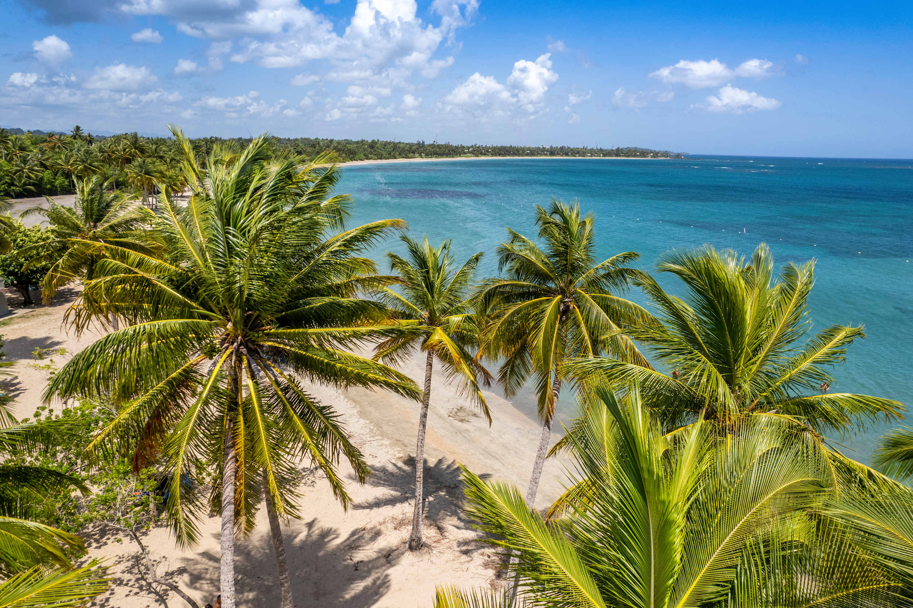 AQUA Terrazas 6 · Beachfront Gem with Ocean Views - Property photo
