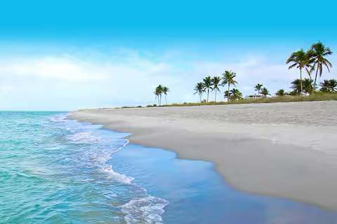 View 5