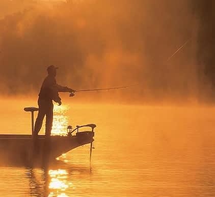 View 10