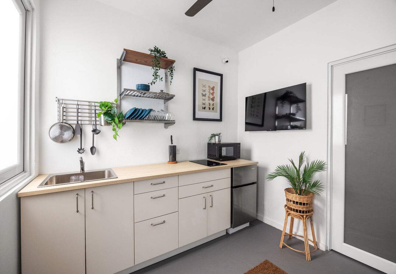 Puerto Rico Coastal Access & Santurce Vibrancy 5