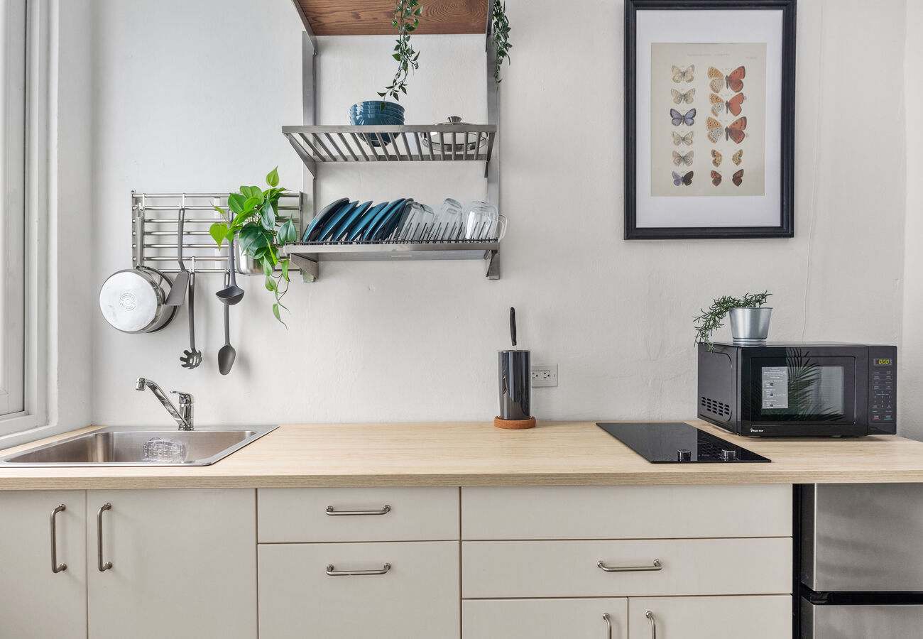 Puerto Rico Coastal Access & Santurce Vibrancy 4