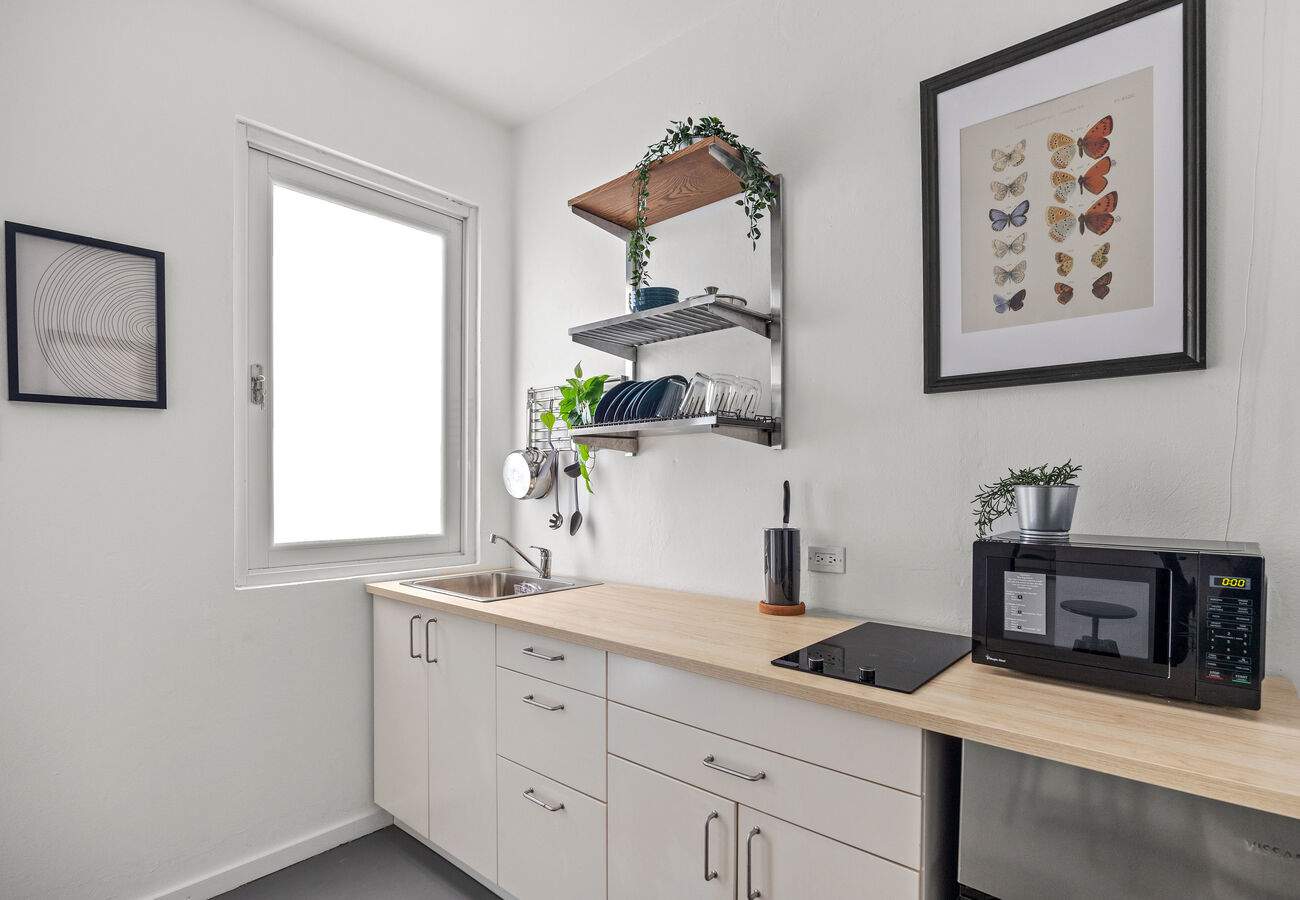 Puerto Rico Coastal Access & Santurce Vibrancy 6