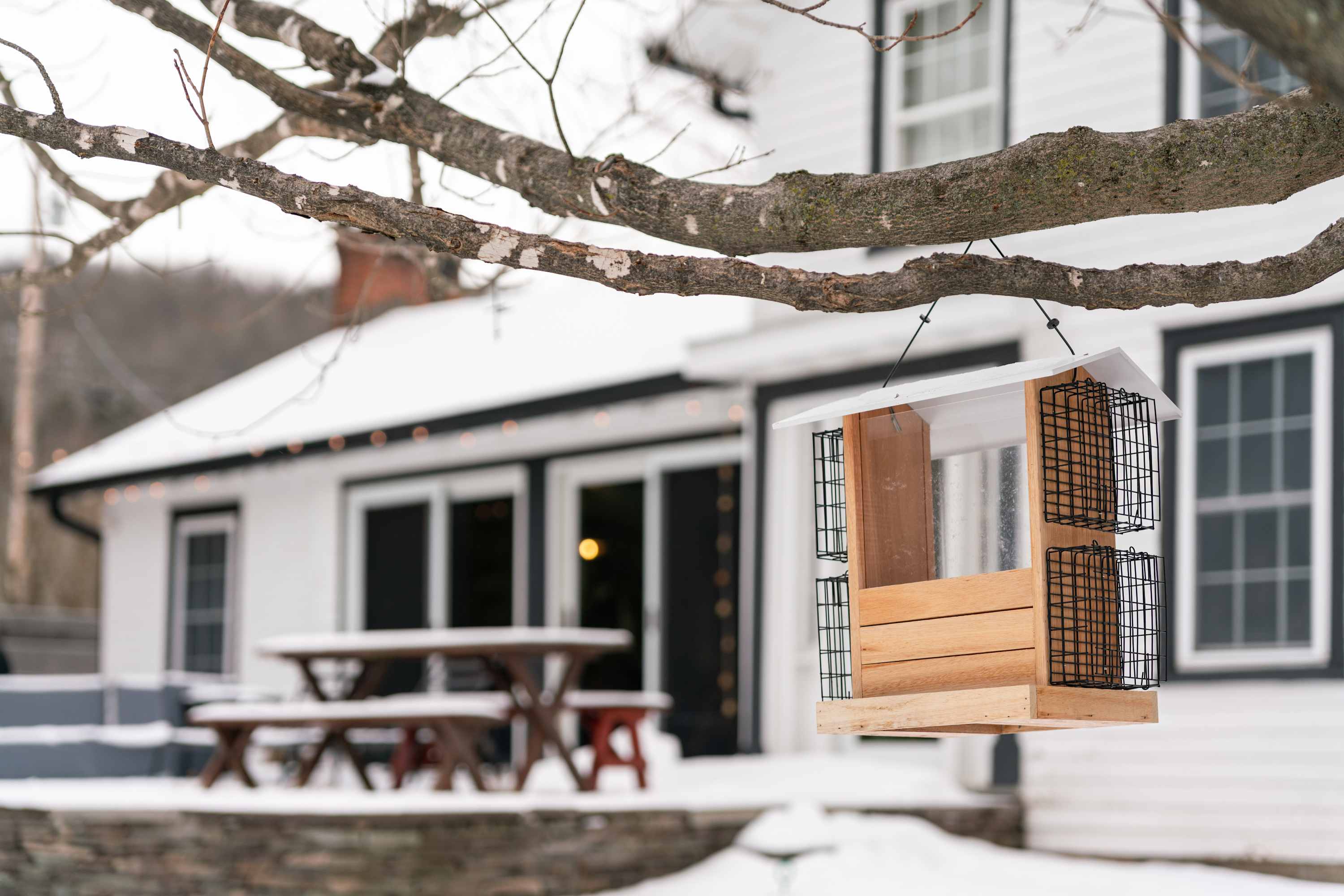 Echo Notch, Mtn Views, Fireplace | Echo Ridge Farm