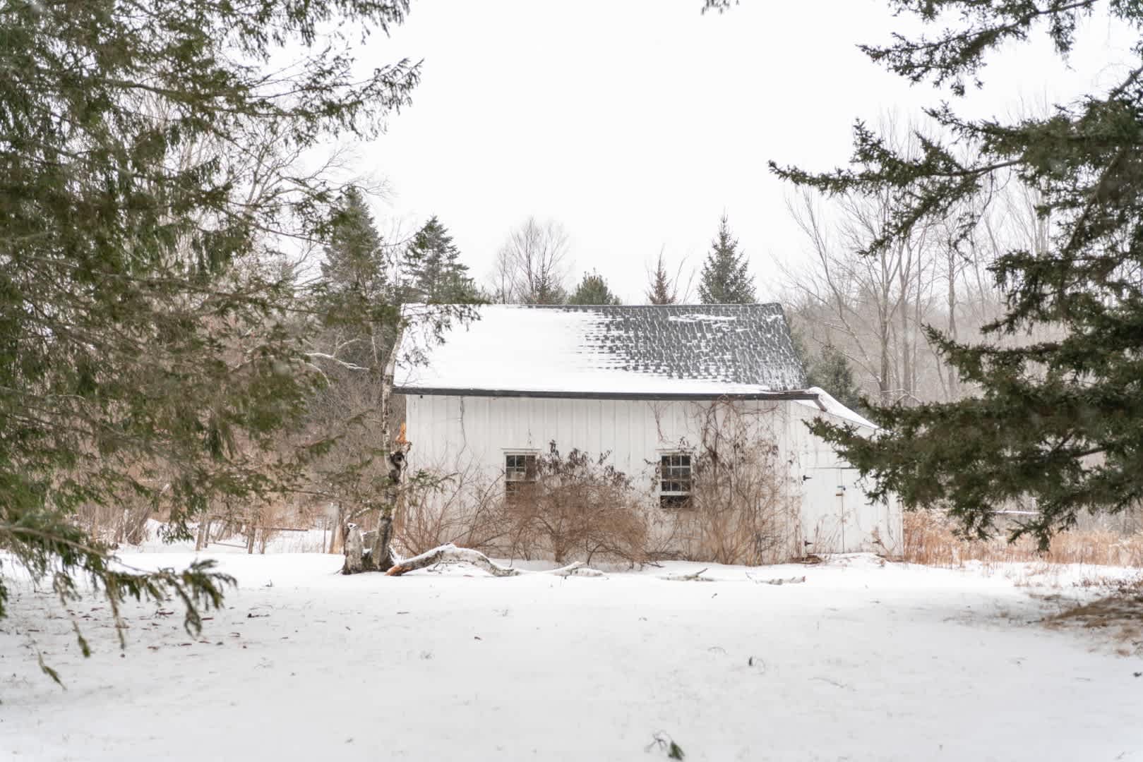 Echo Notch, Mtn Views, Fireplace | Echo Ridge Farm