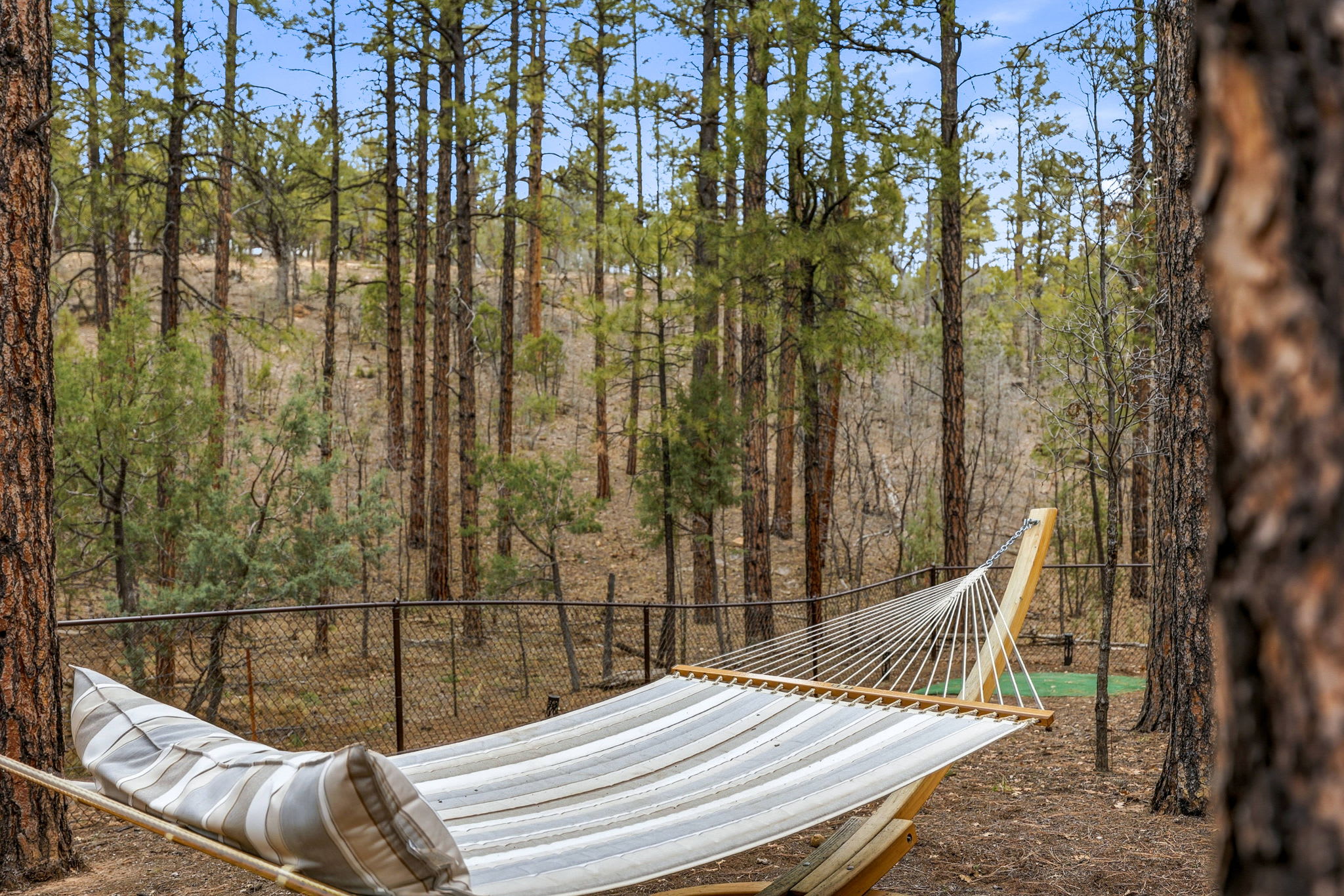 Cozy 3BR Retreat, Forest Views,Grill,Sleeps 6 4