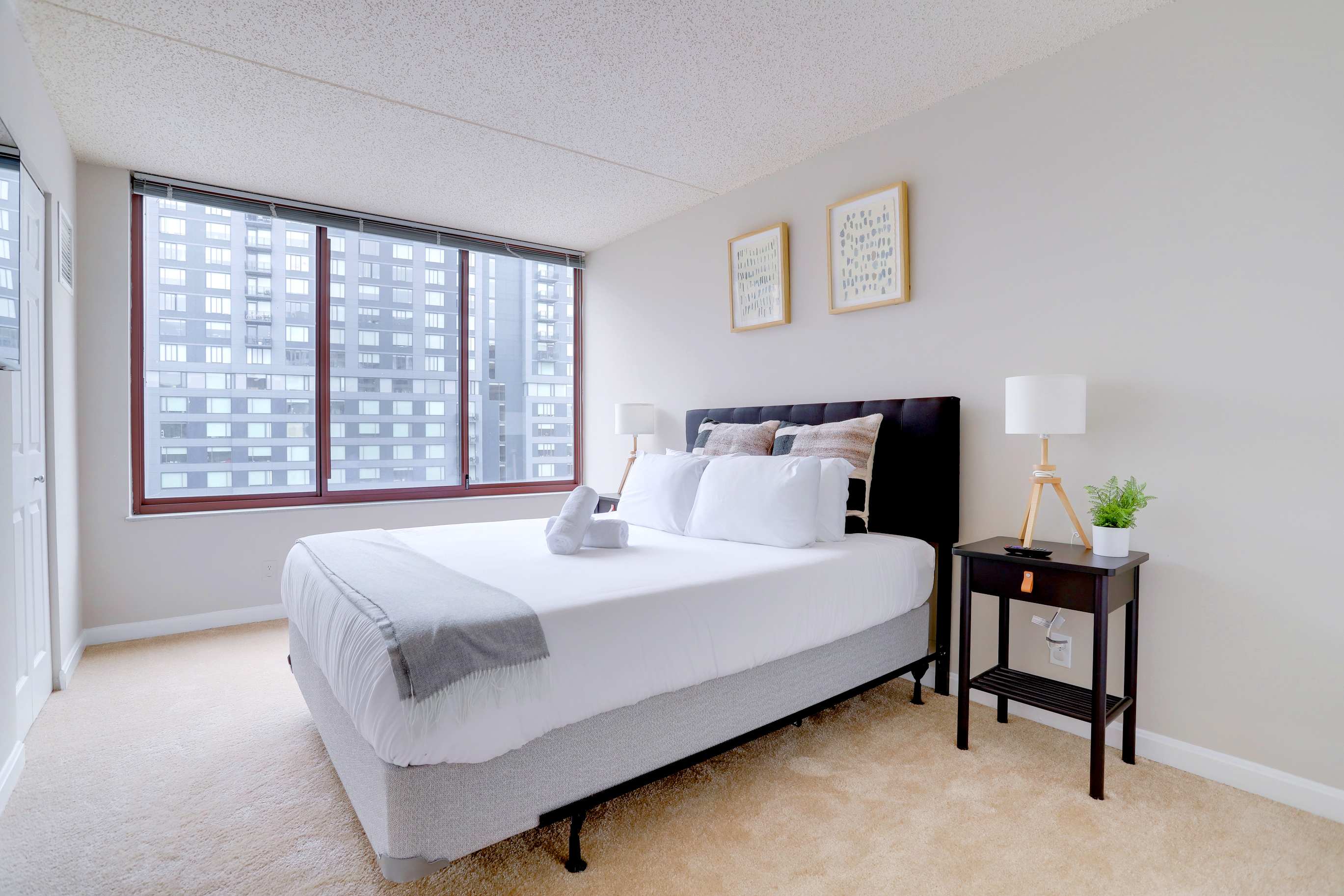 Comfortable Apt | Easy Access to D.C. | Gym