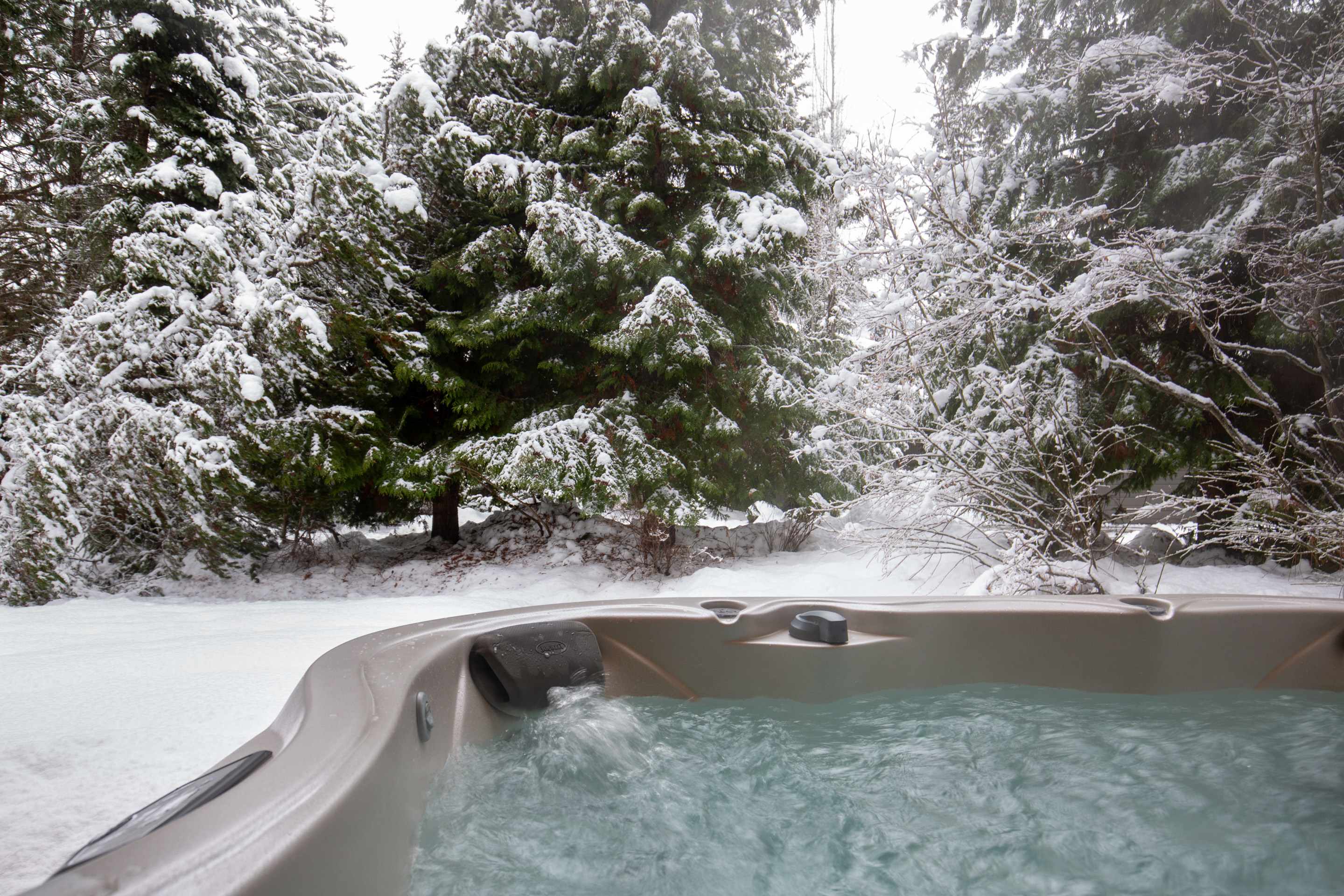 Meadow Green Chalet 4