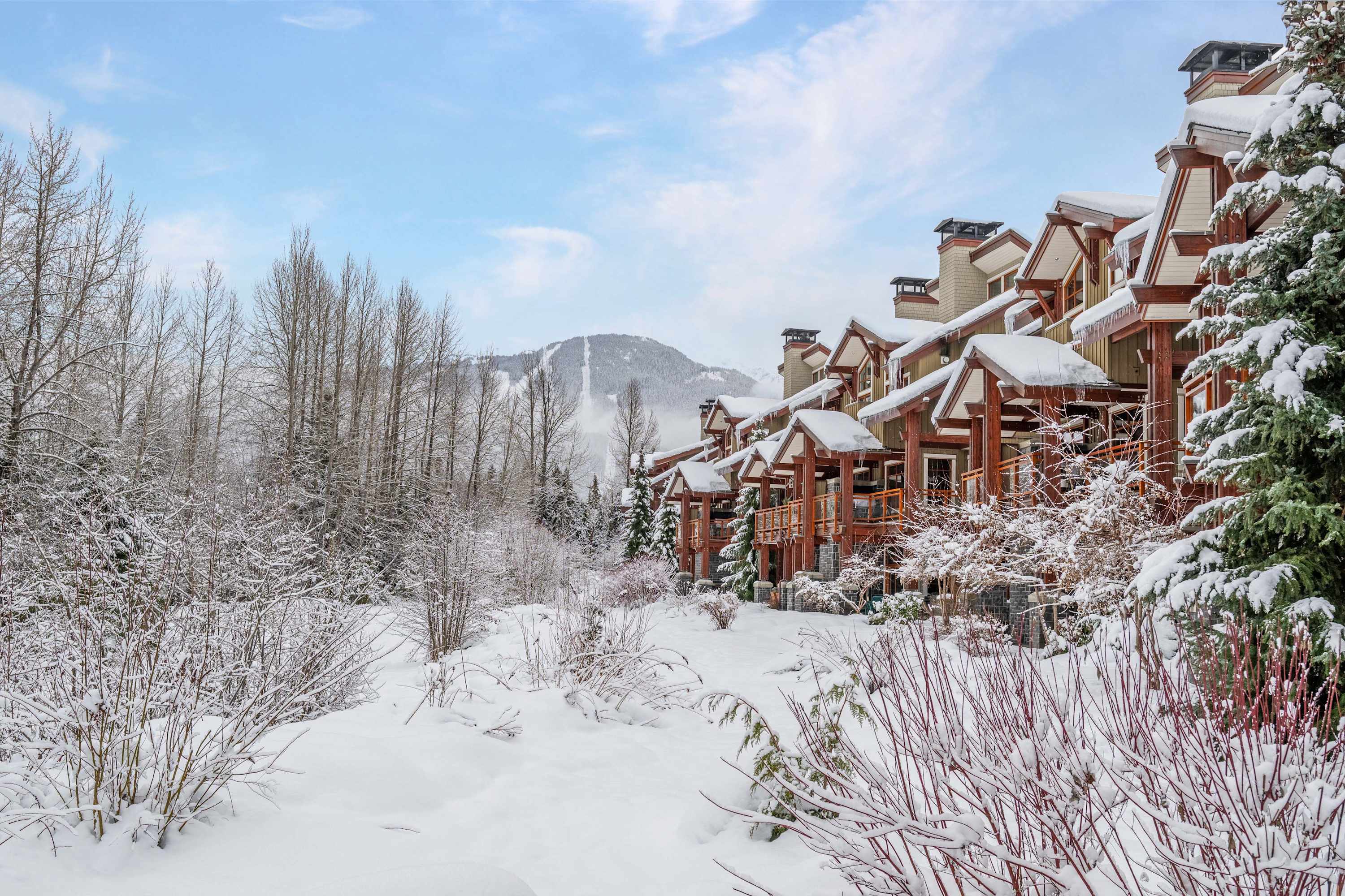 Fitzsimmons Walk 29 7