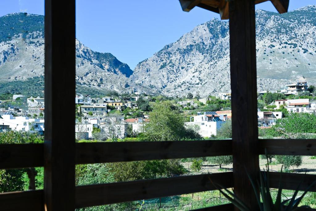 View 4