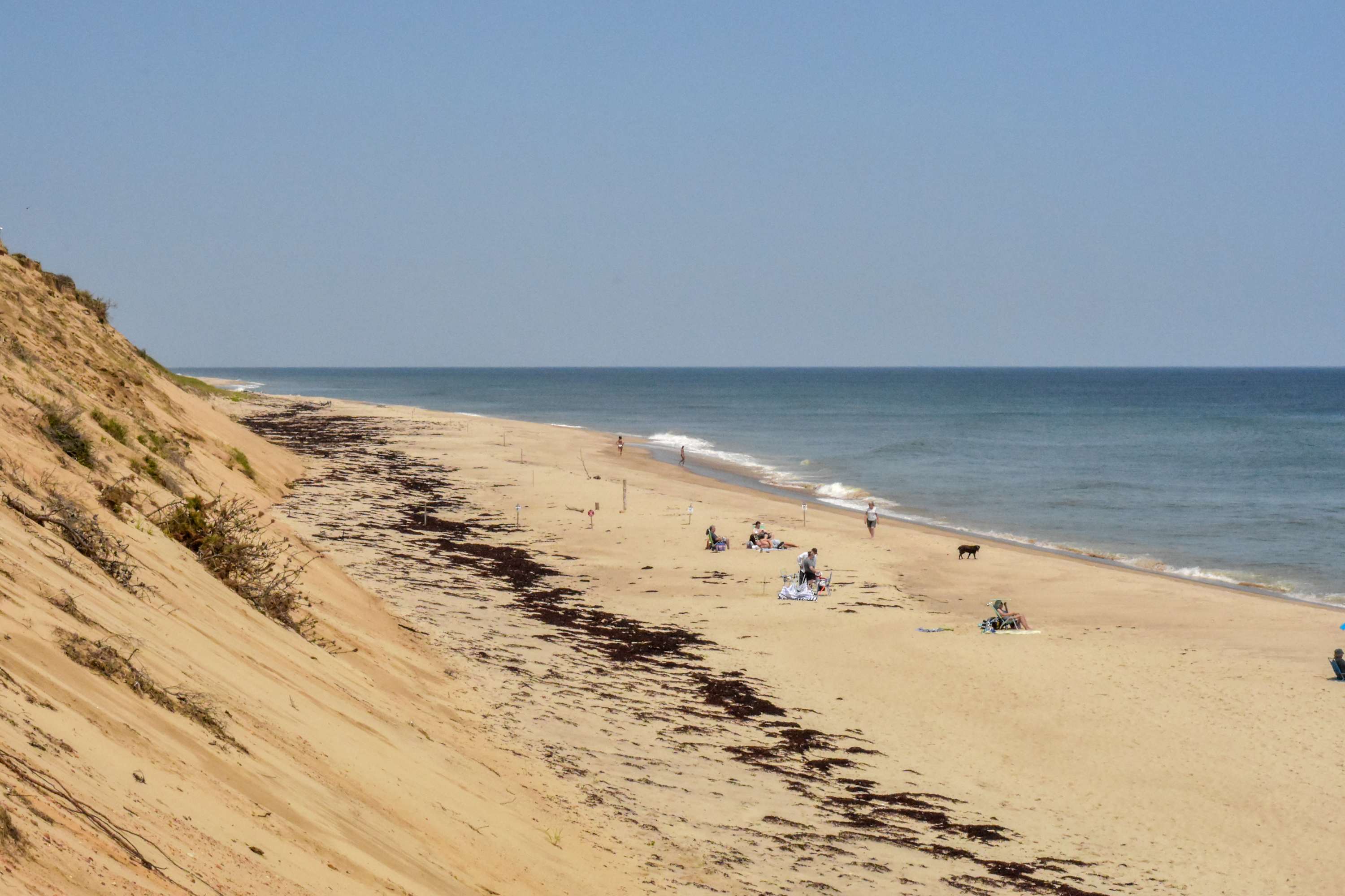 Photo 5 of Del Mar #13301