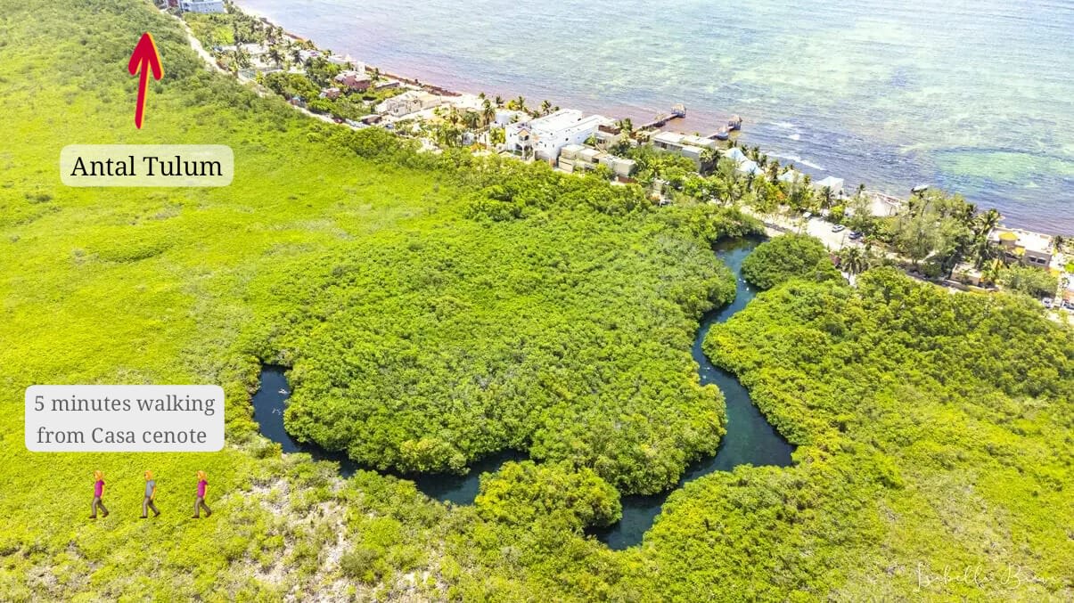 Snorkel in the crystal-clear waters of Casa Cenote — and if you’re lucky, you might even spot manatees. This stunning natural wonder is just a 5-minute walk from the condo.