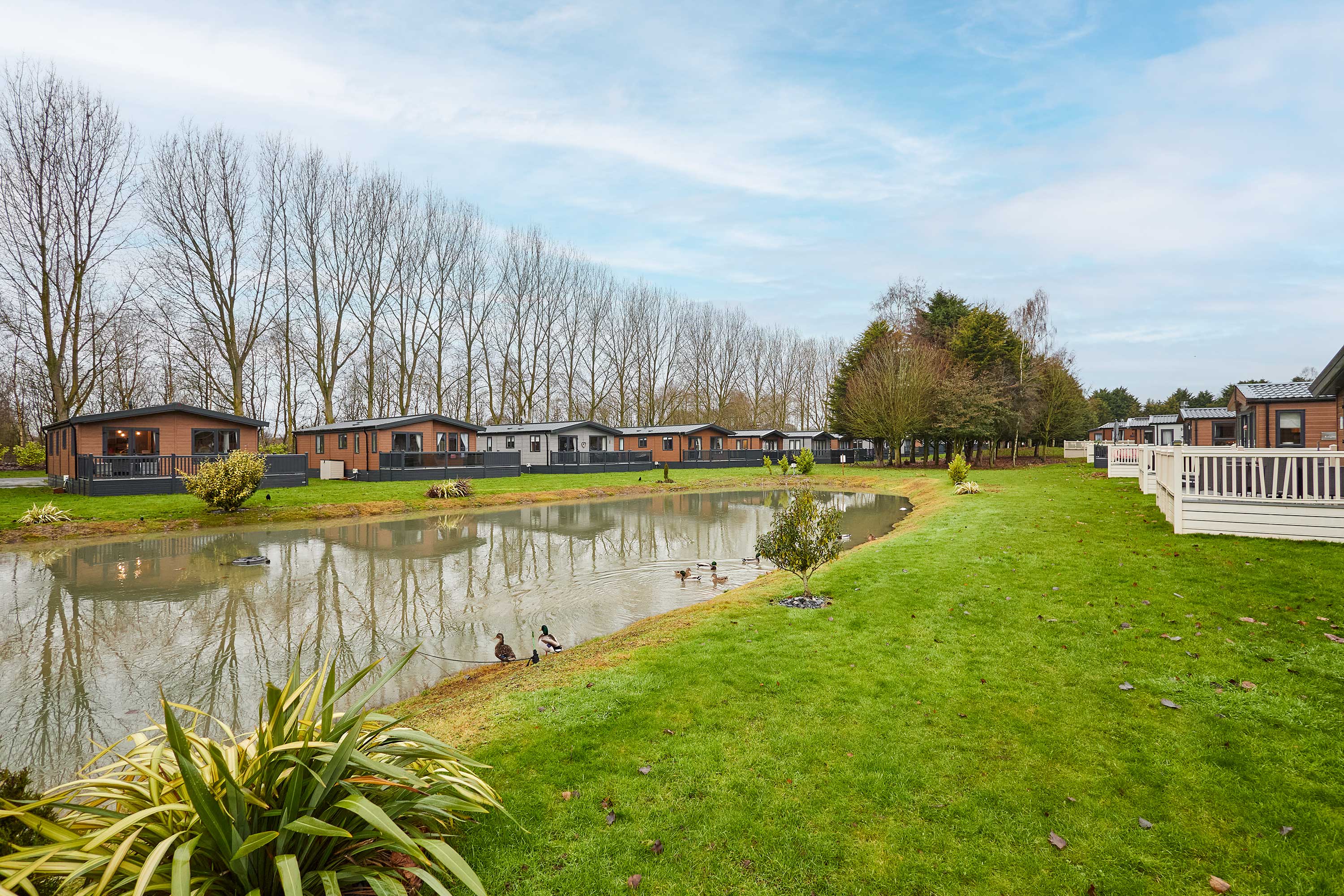 Black Moorhen Lodge – photo 4