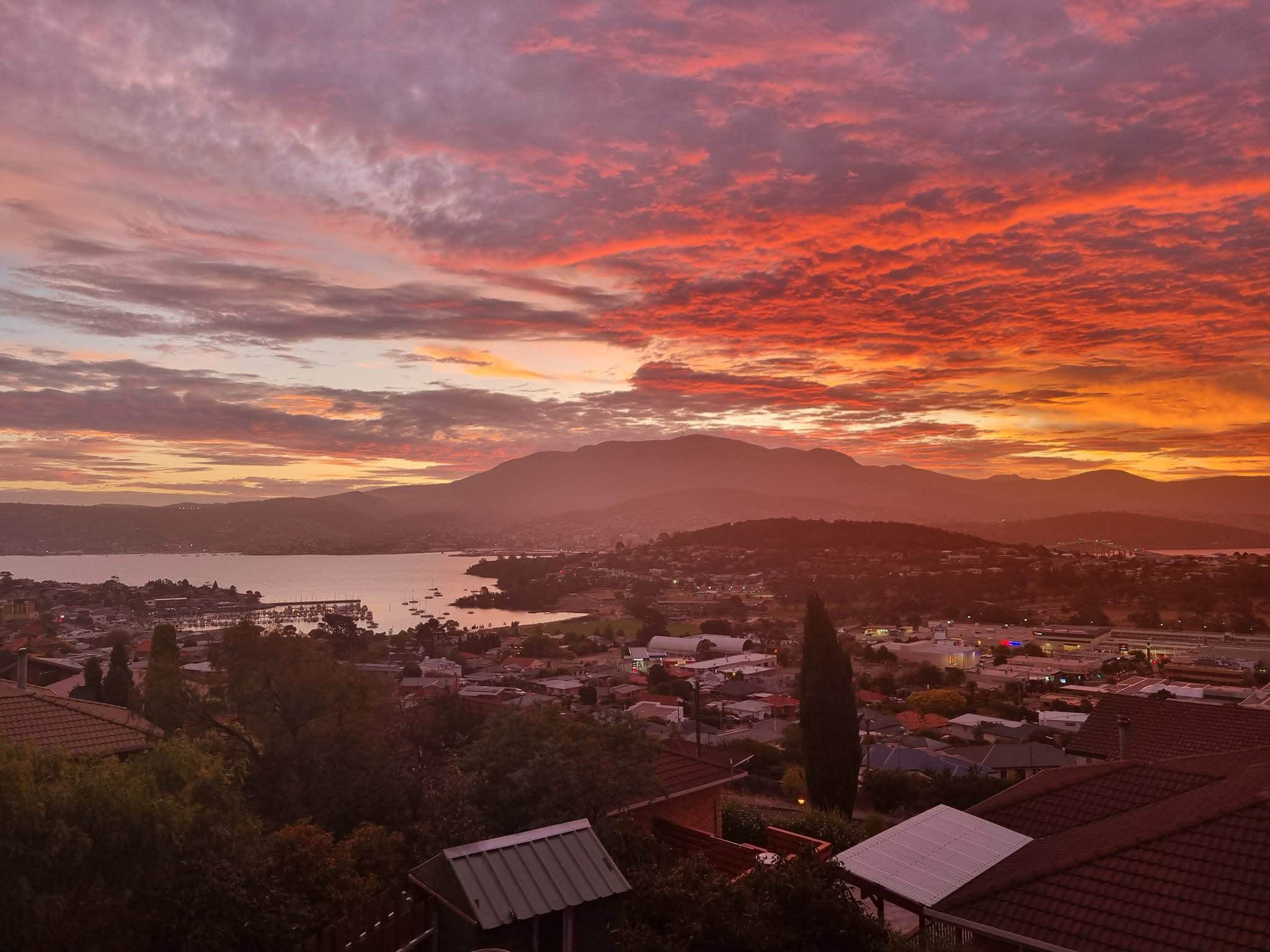 View 5