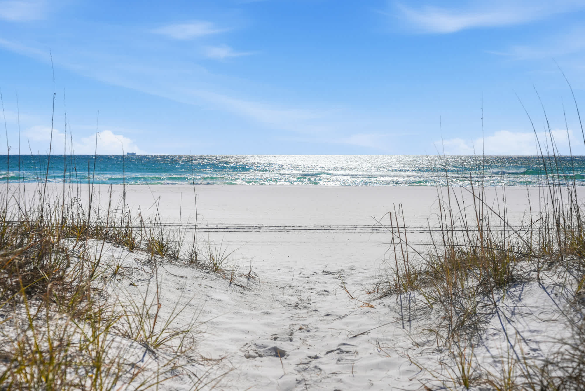 Top Of The Gulf  602 – View of sandy beach with sea oats, leading to a shimmering ocean under a blue sky.