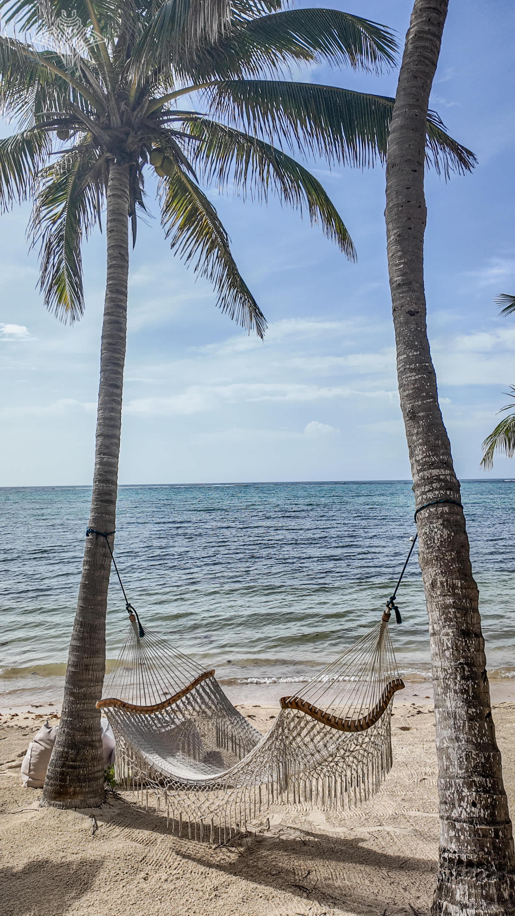 Unwind in our hammocks and drift into a peaceful nap, accompanied by the gentle rhythm of the ocean waves.