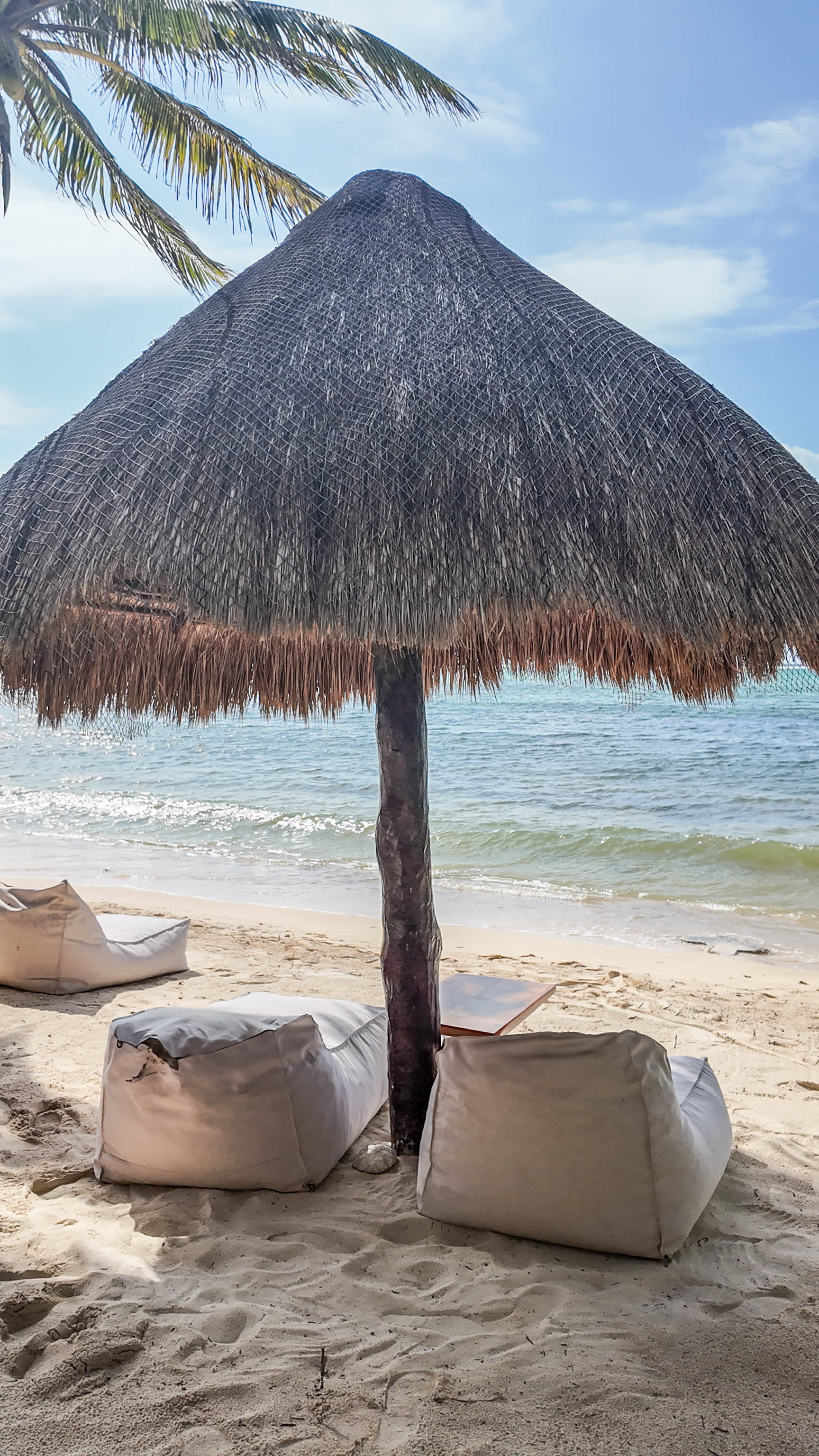 Unwind in our hammocks and drift into a peaceful nap, accompanied by the gentle rhythm of the ocean waves.