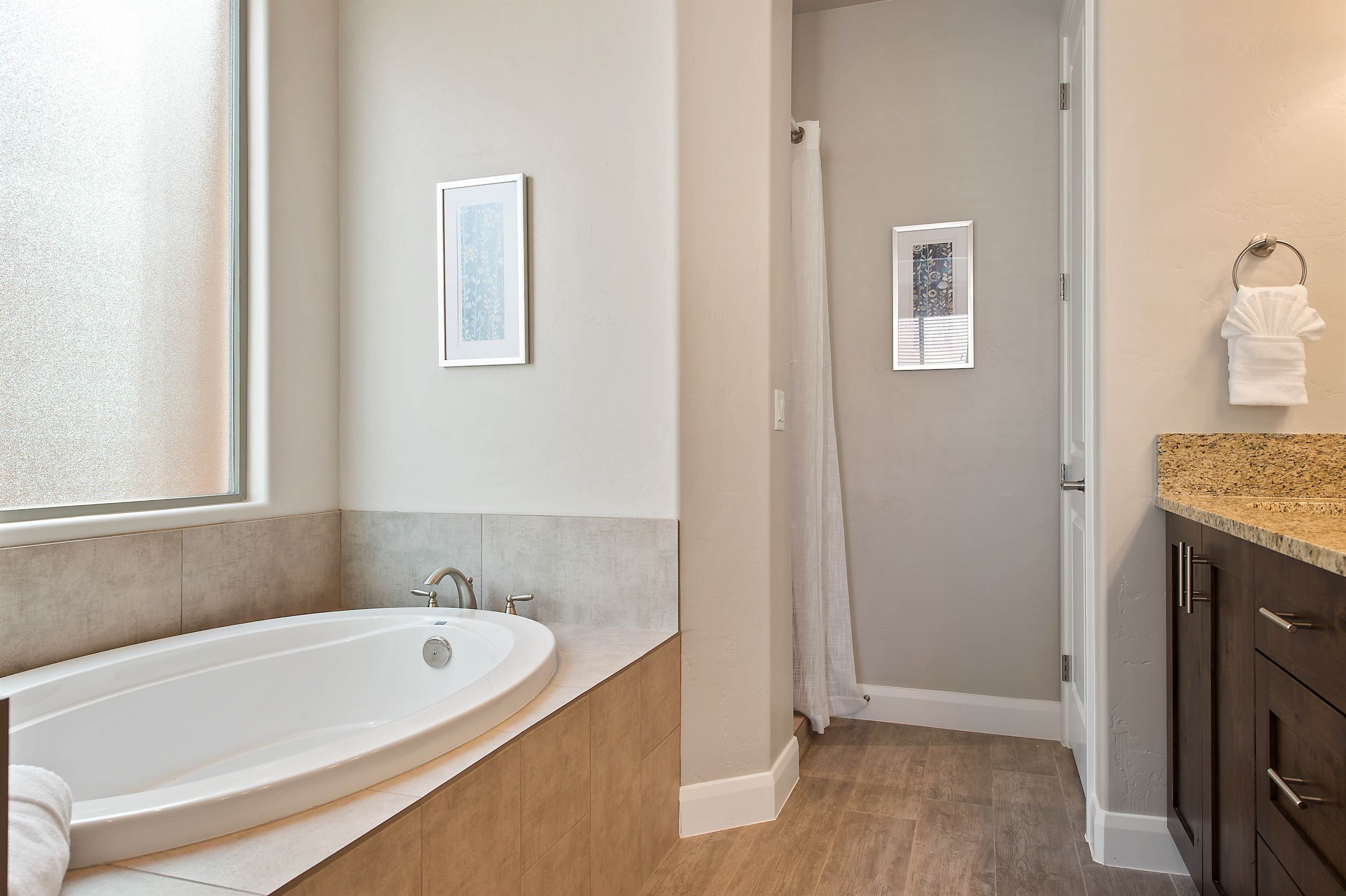 Master bathroom garden tub and walk-in shower