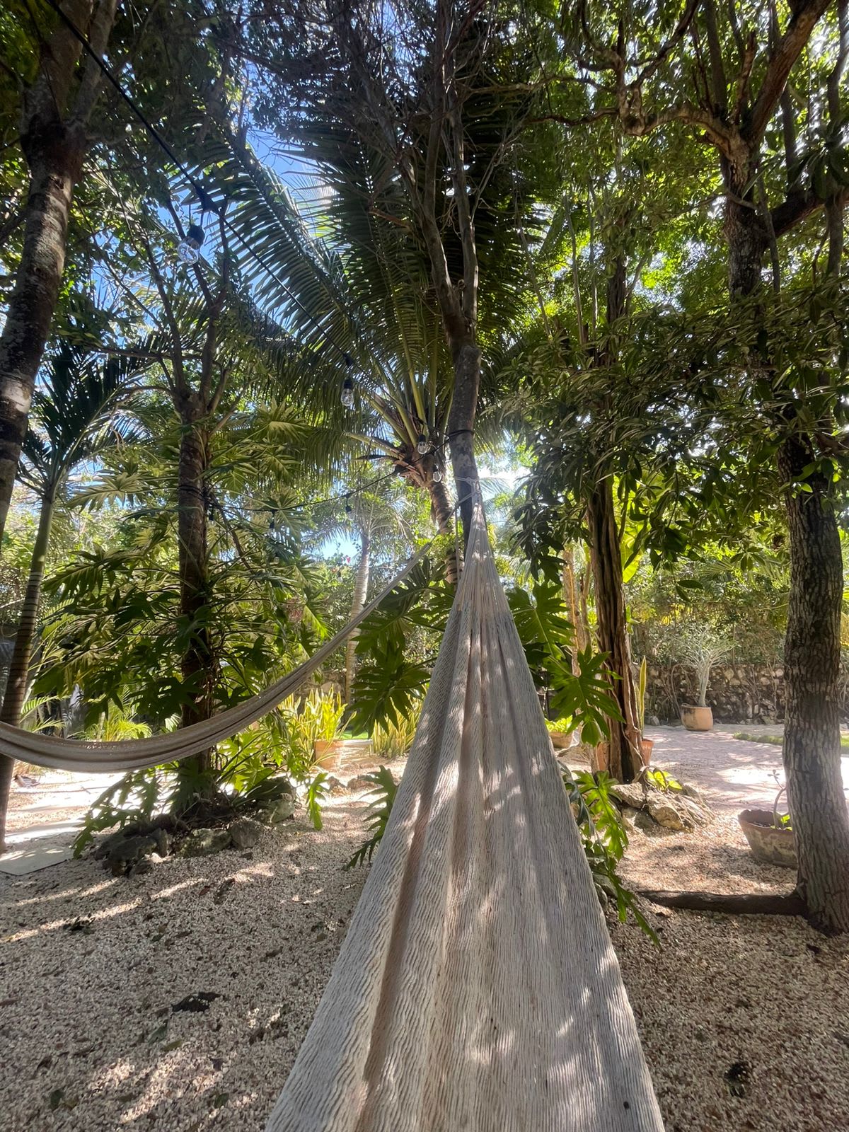 Relax in garden hammocks, perfect for slow mornings and peaceful afternoons