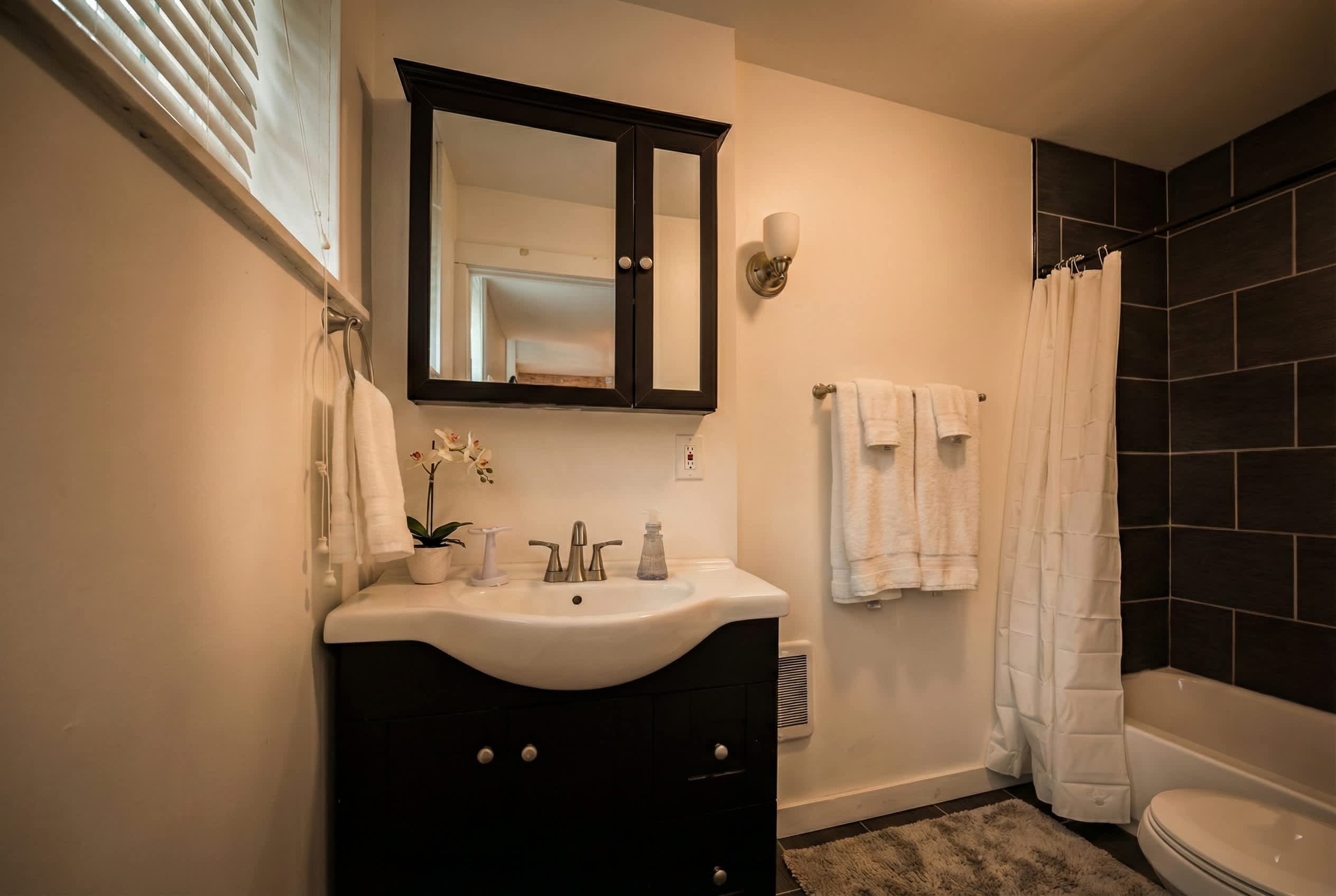 Stylish Historic Apartment - Queen Bed, Fast WiFi, Easy Parking! 6