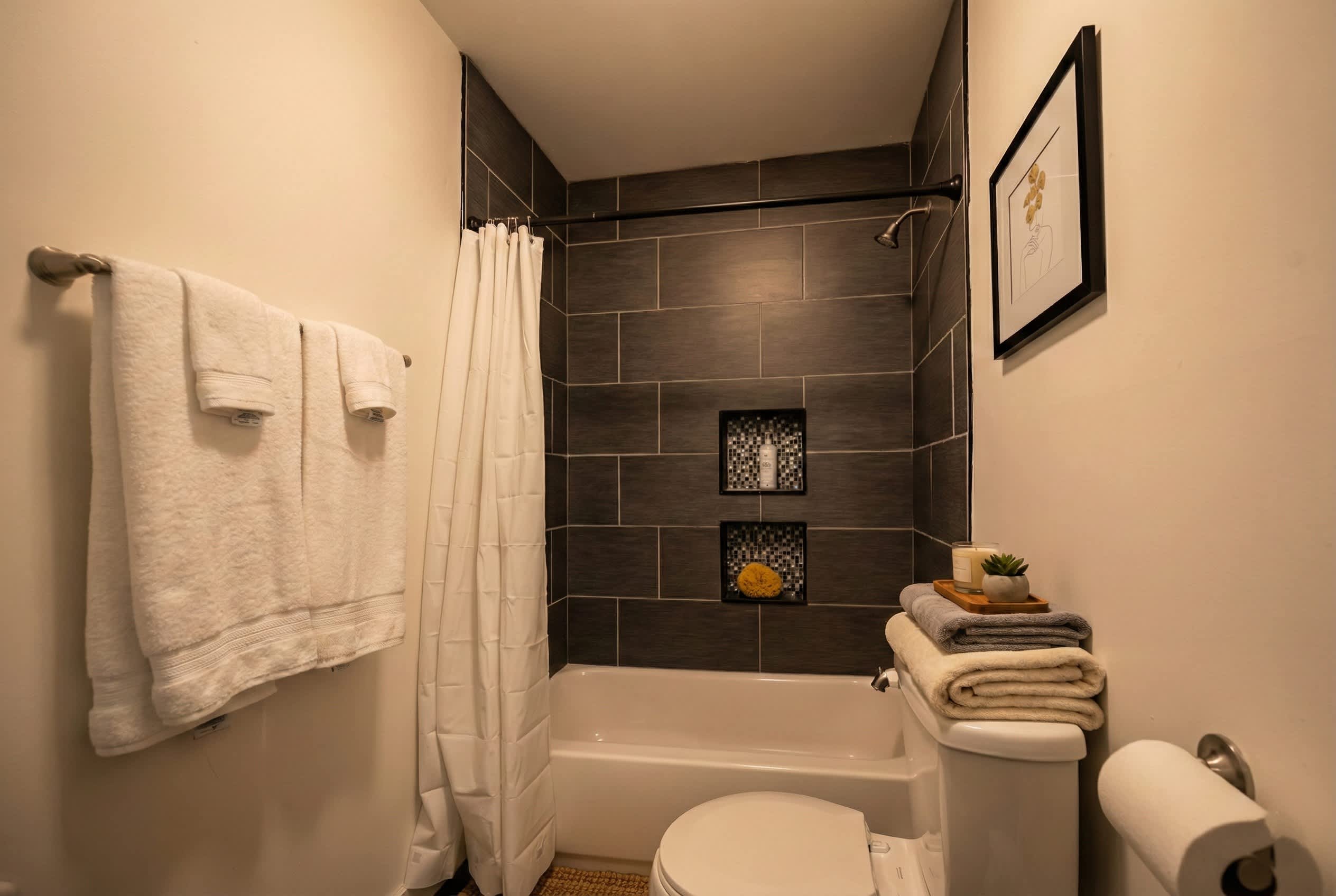 Stylish Historic Apartment - Queen Bed, Fast WiFi, Easy Parking! 5