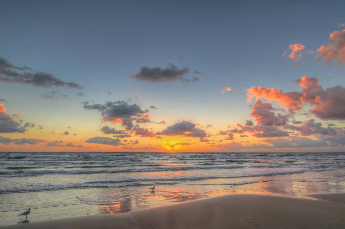 Modern Beachside Condo w Pool South Padre Island | Photo 30
