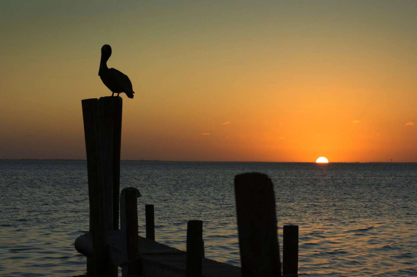 Modern Beachside Condo w Pool South Padre Island | Photo 34