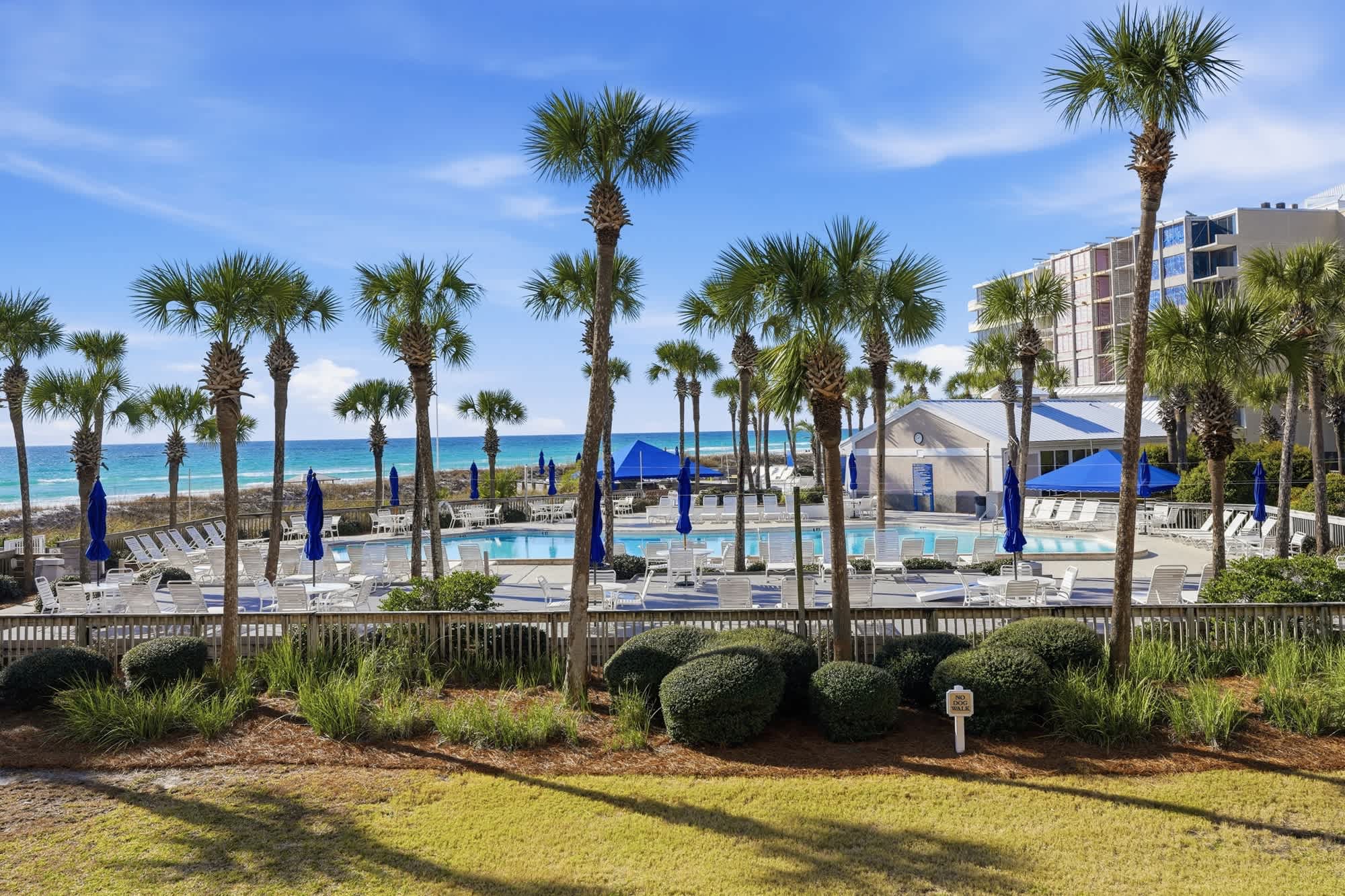 Dunes C104 – Pool area with lounge chairs and palm trees, ocean visible in the background.