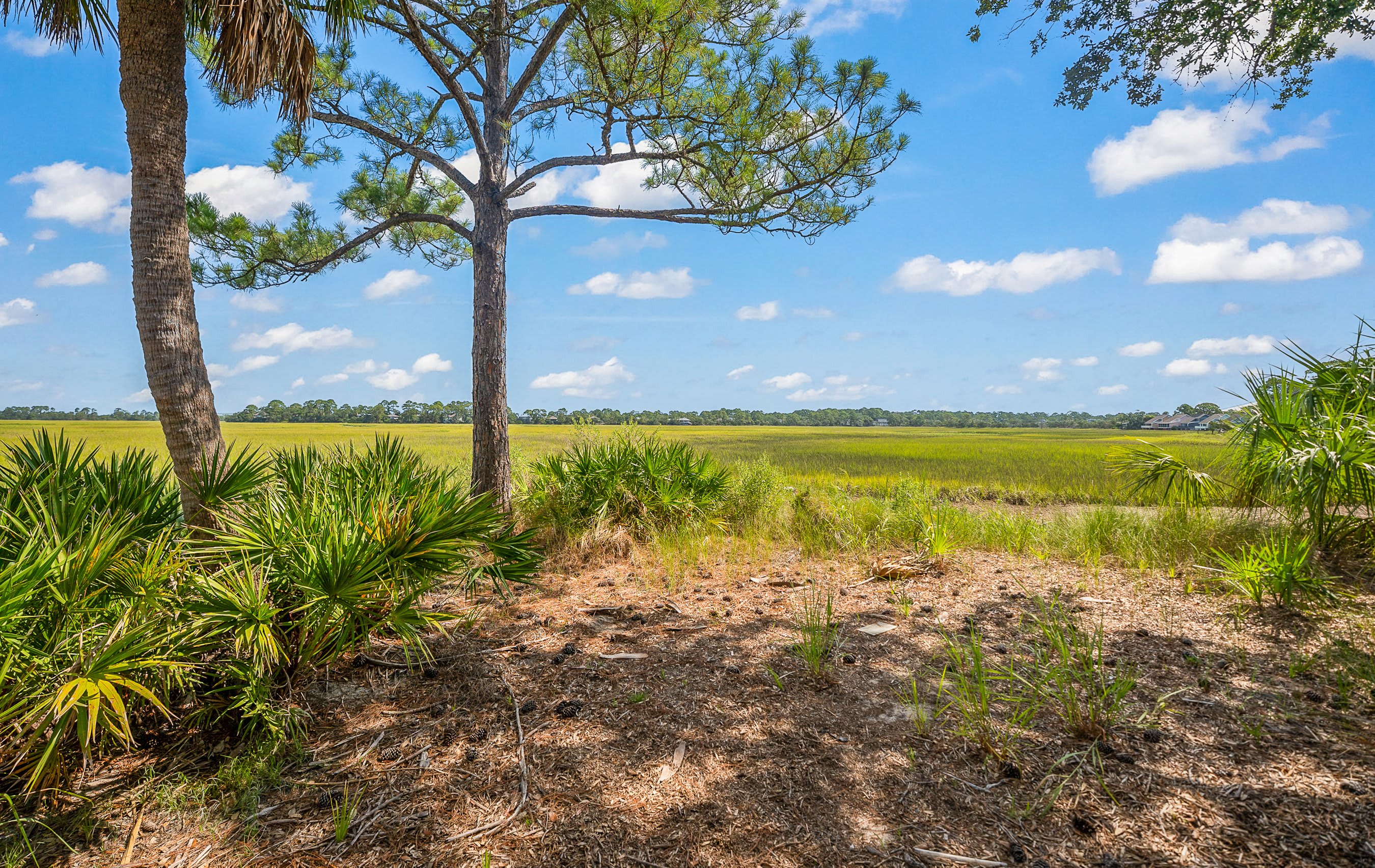 913 Marsh Dunes | Photo 93
