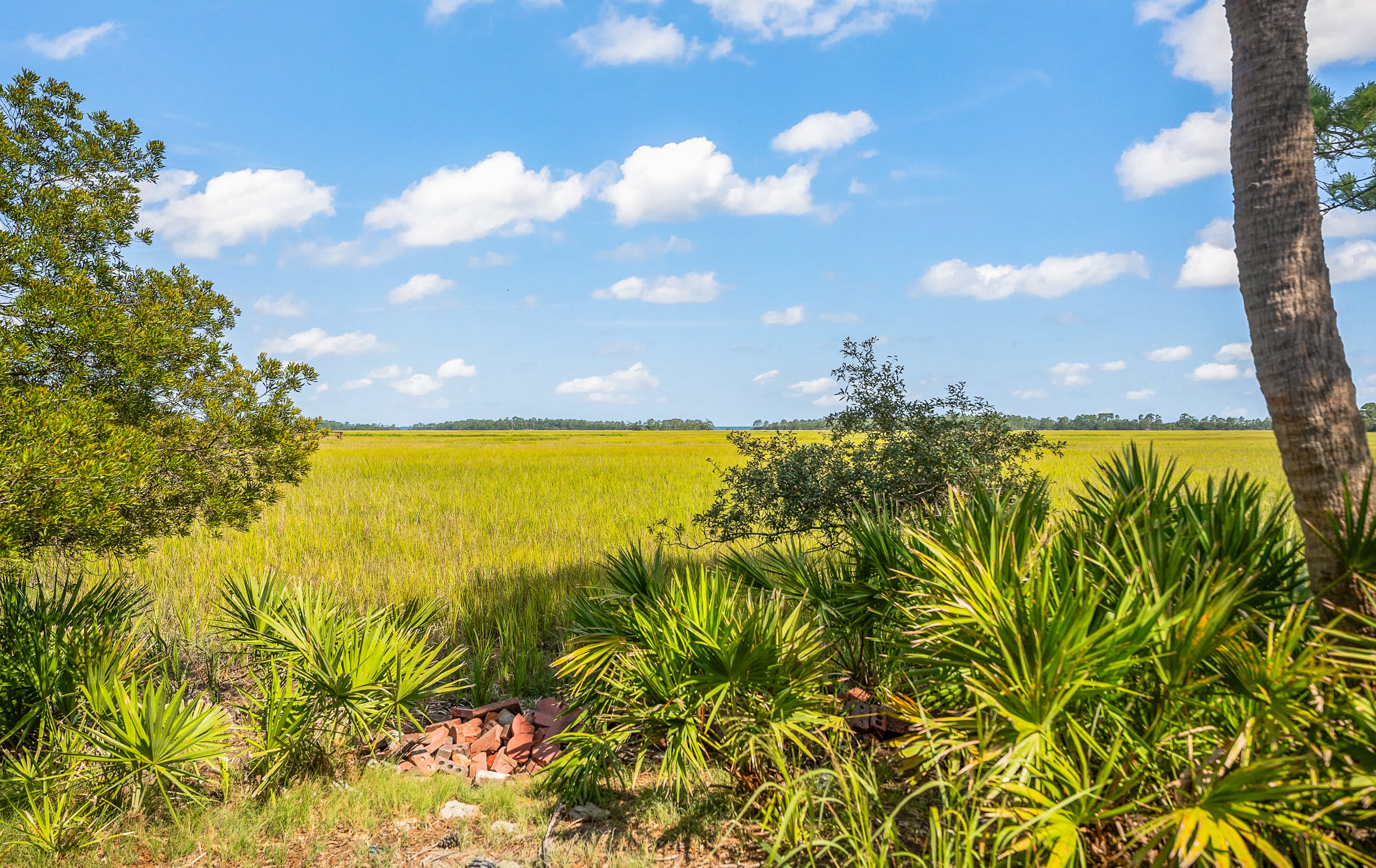 913 Marsh Dunes | Photo 3