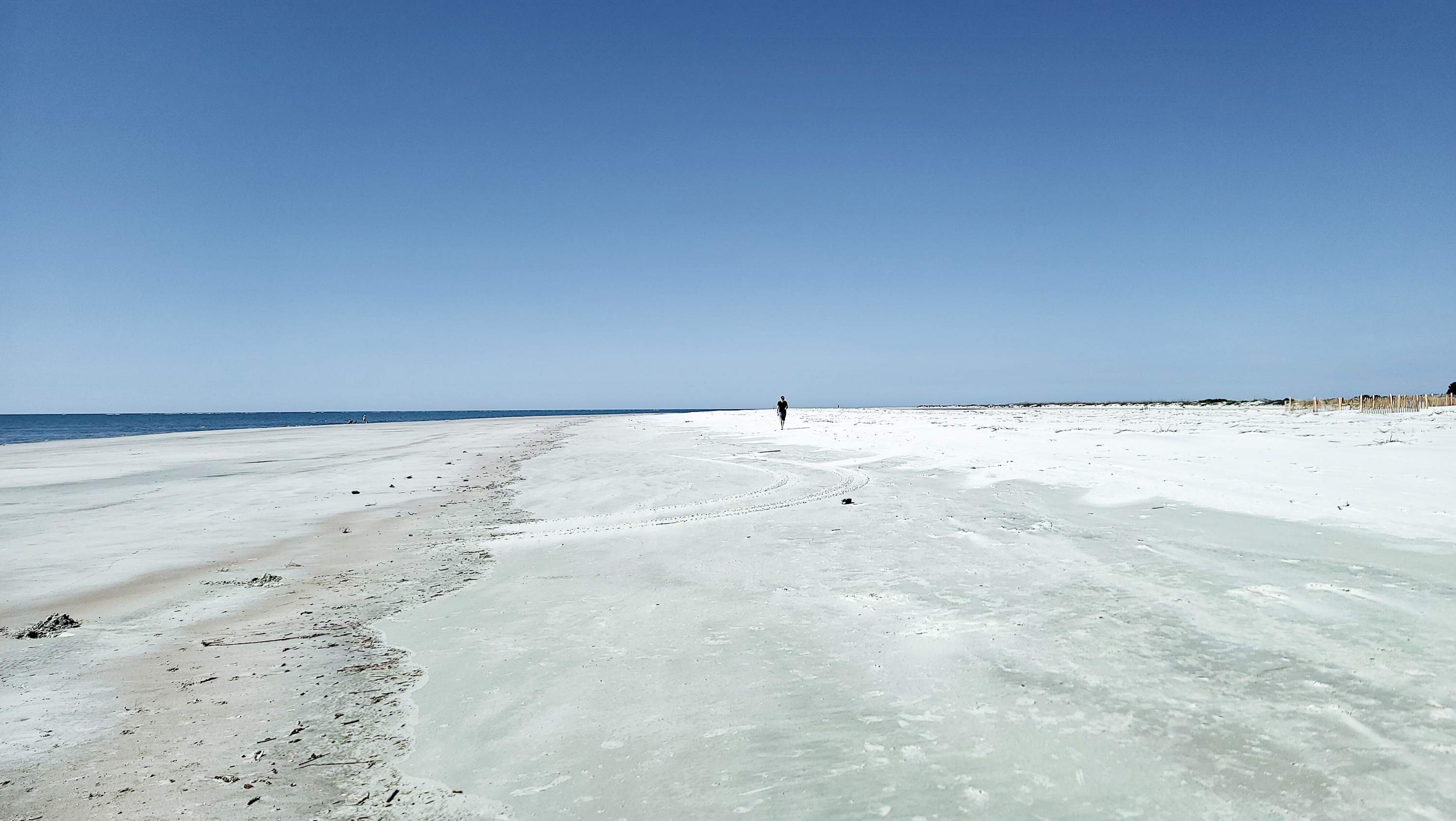 661 Newhaven | Photo 41