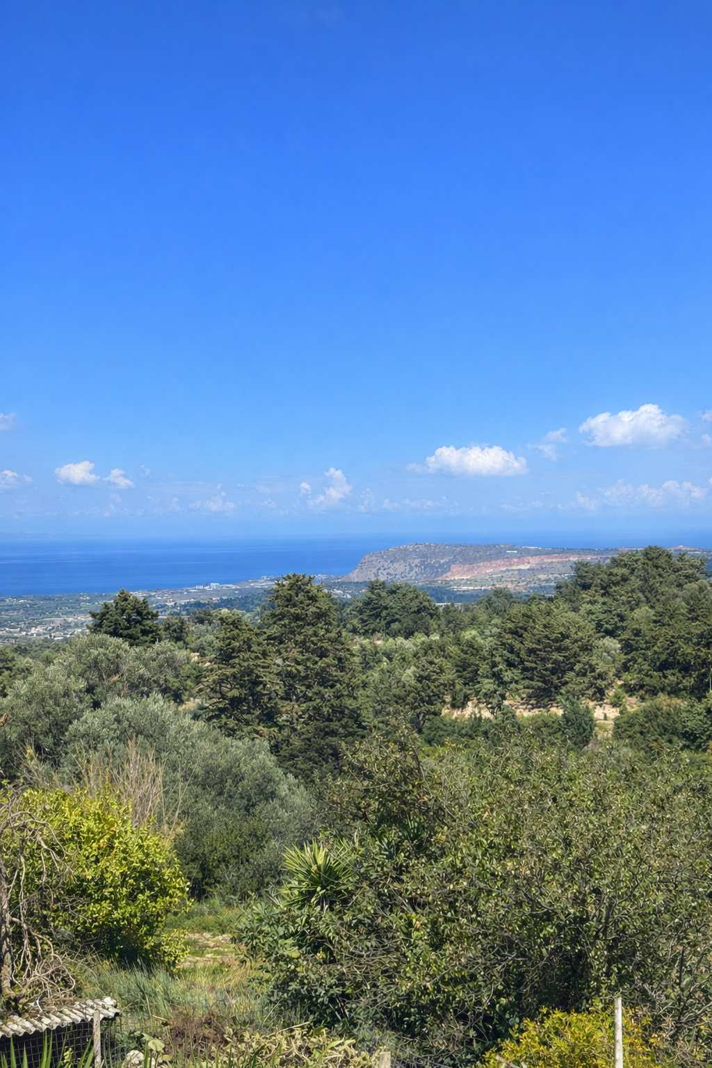 View 6