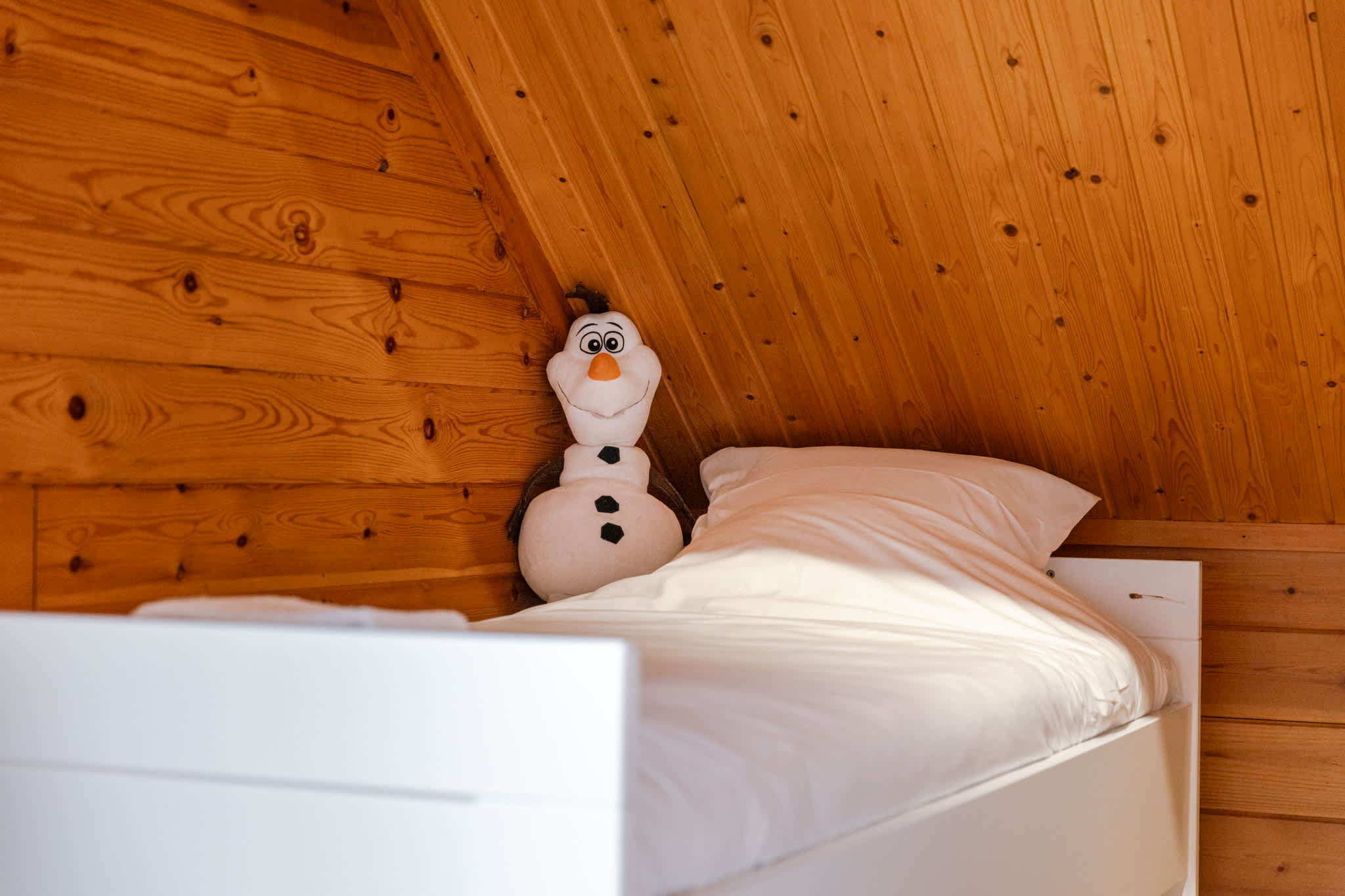 Anna-Helena · Forest Chalet Between Ghent & Bruges - Foto 15