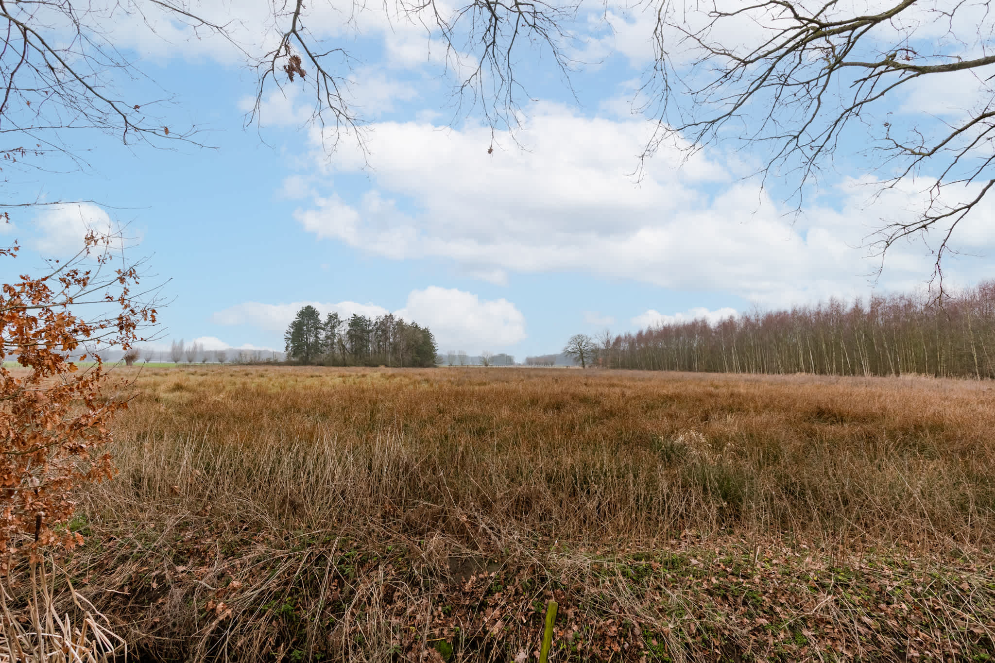 Anna-Helena · Forest Chalet Between Ghent & Bruges - Foto 24