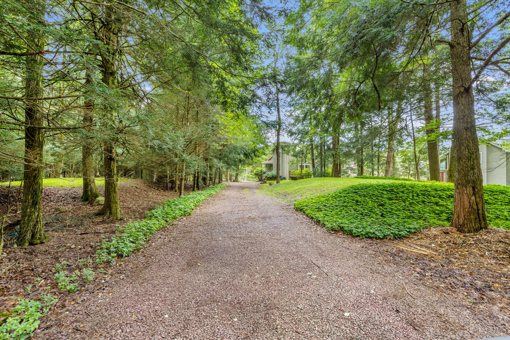 Shaded grounds surrounded by tall trees and greenery