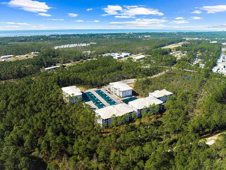 Paradise At Pinewood 19