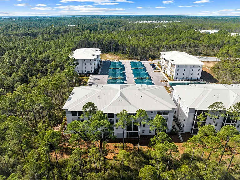 Paradise At Pinewood 17