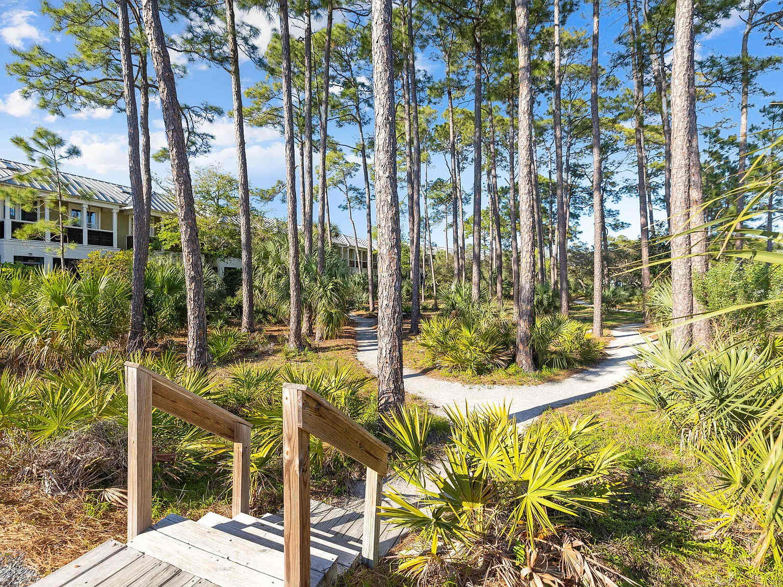 Paradise At Pinewood 32