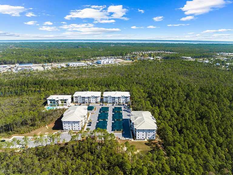 Paradise At Pinewood 31