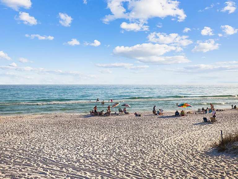 Paradise At Pinewood 45