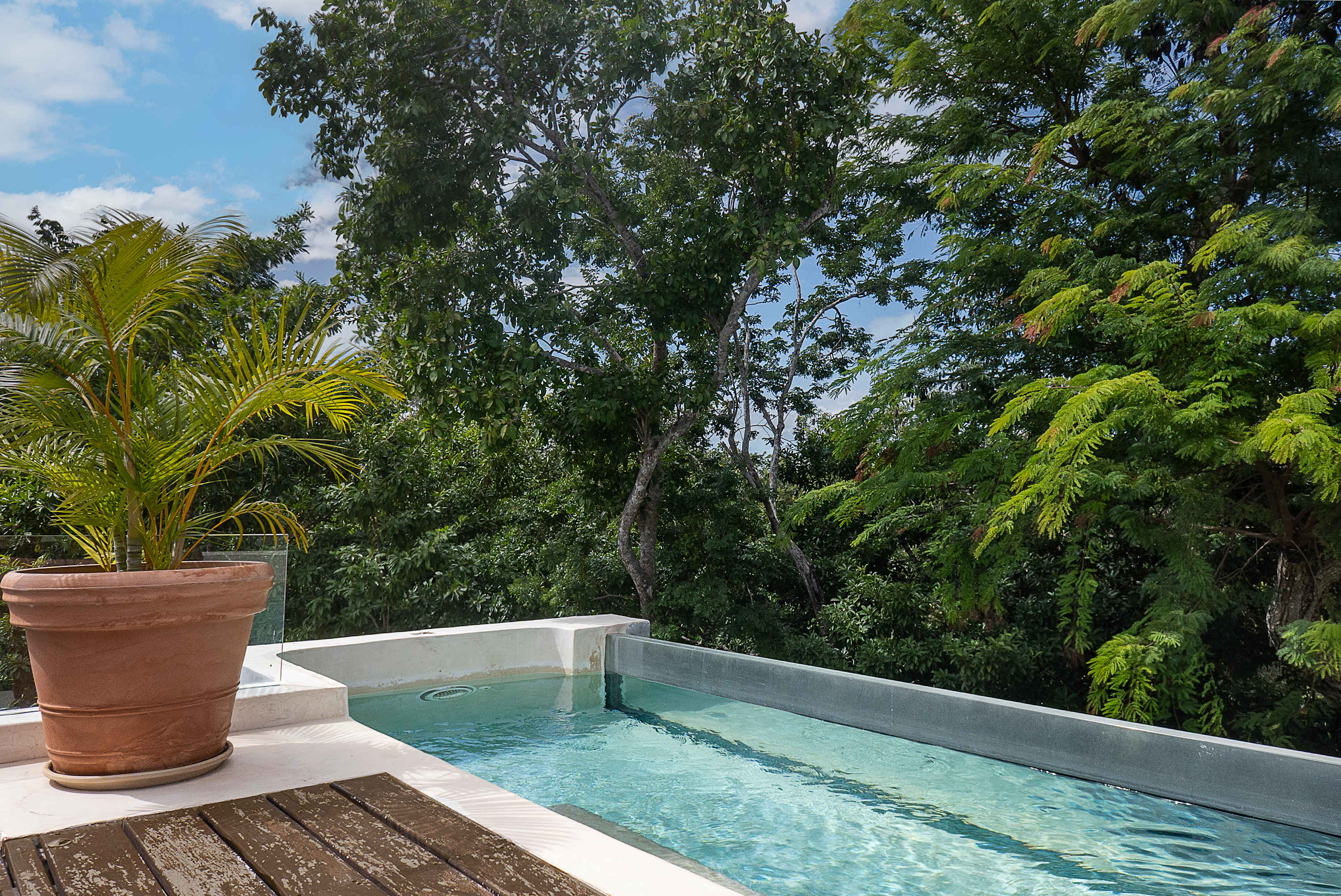 Private rooftop dipping pool, with sun loungers